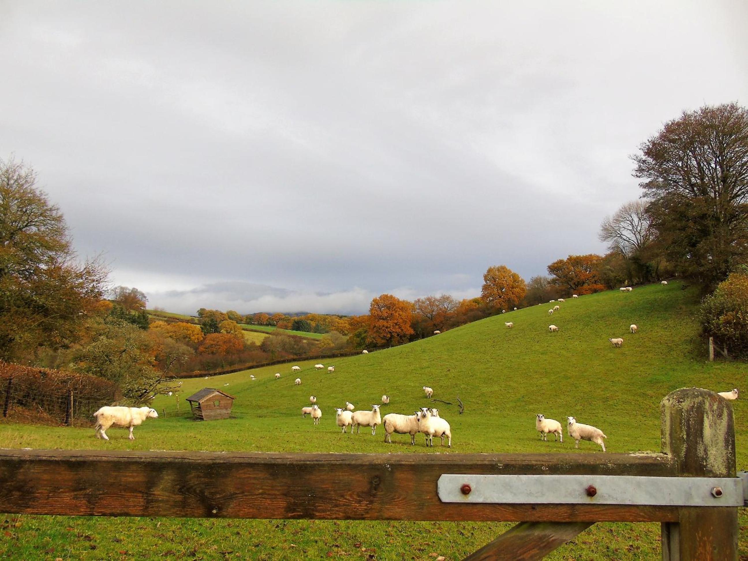 Gwilym's Stable view 2