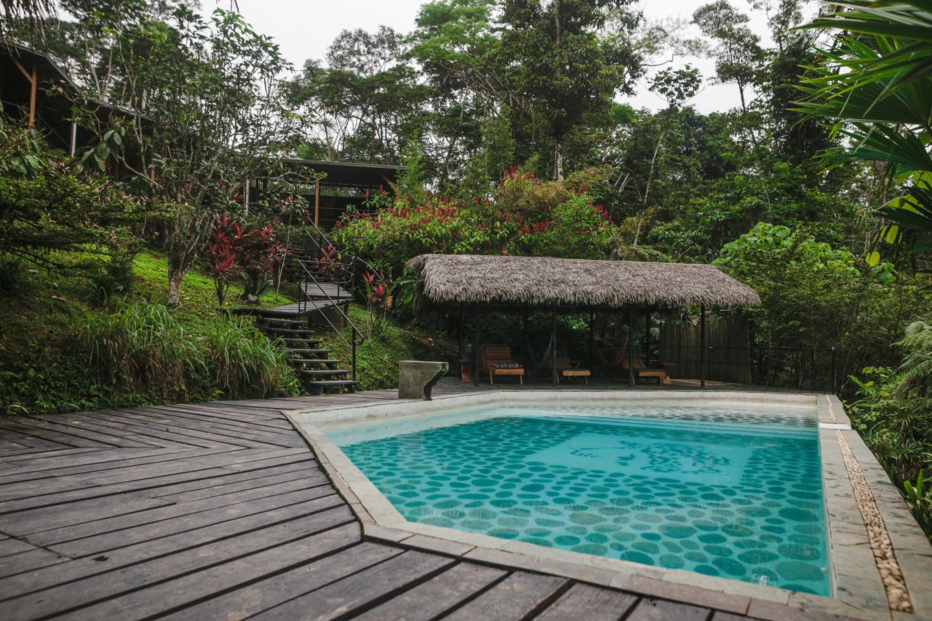 Hamadryade Lodge - Image 5