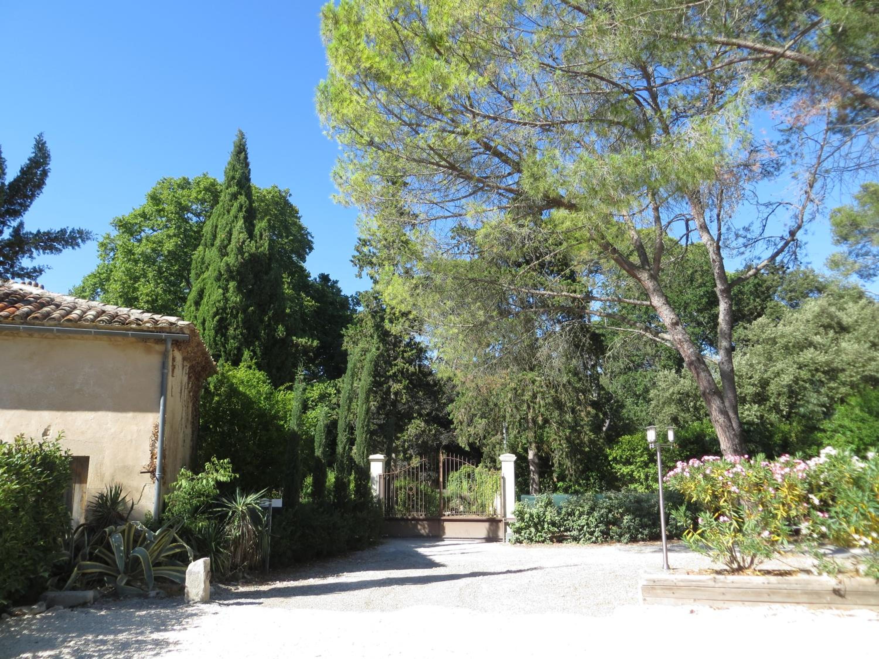 garden