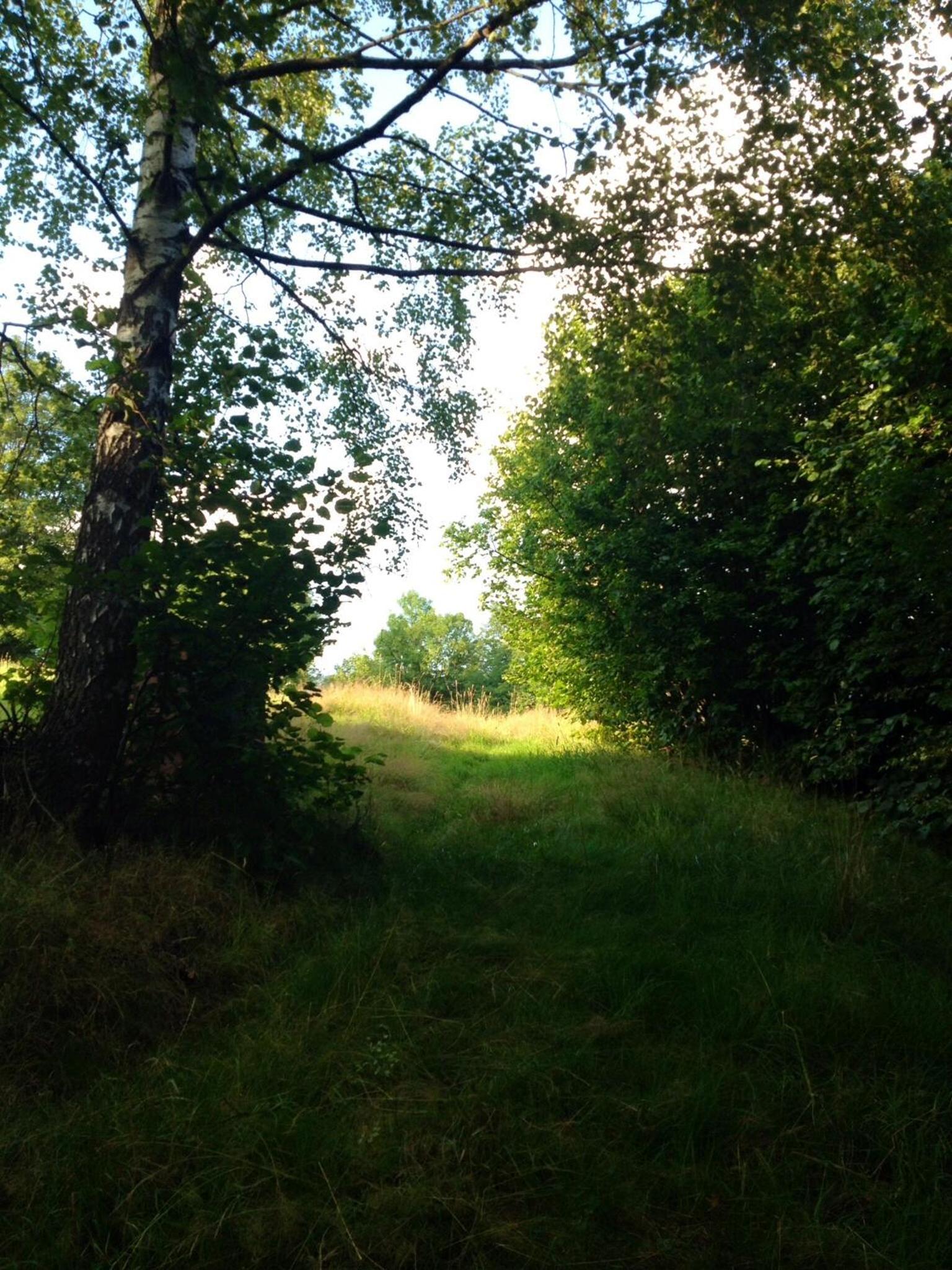Photo 26