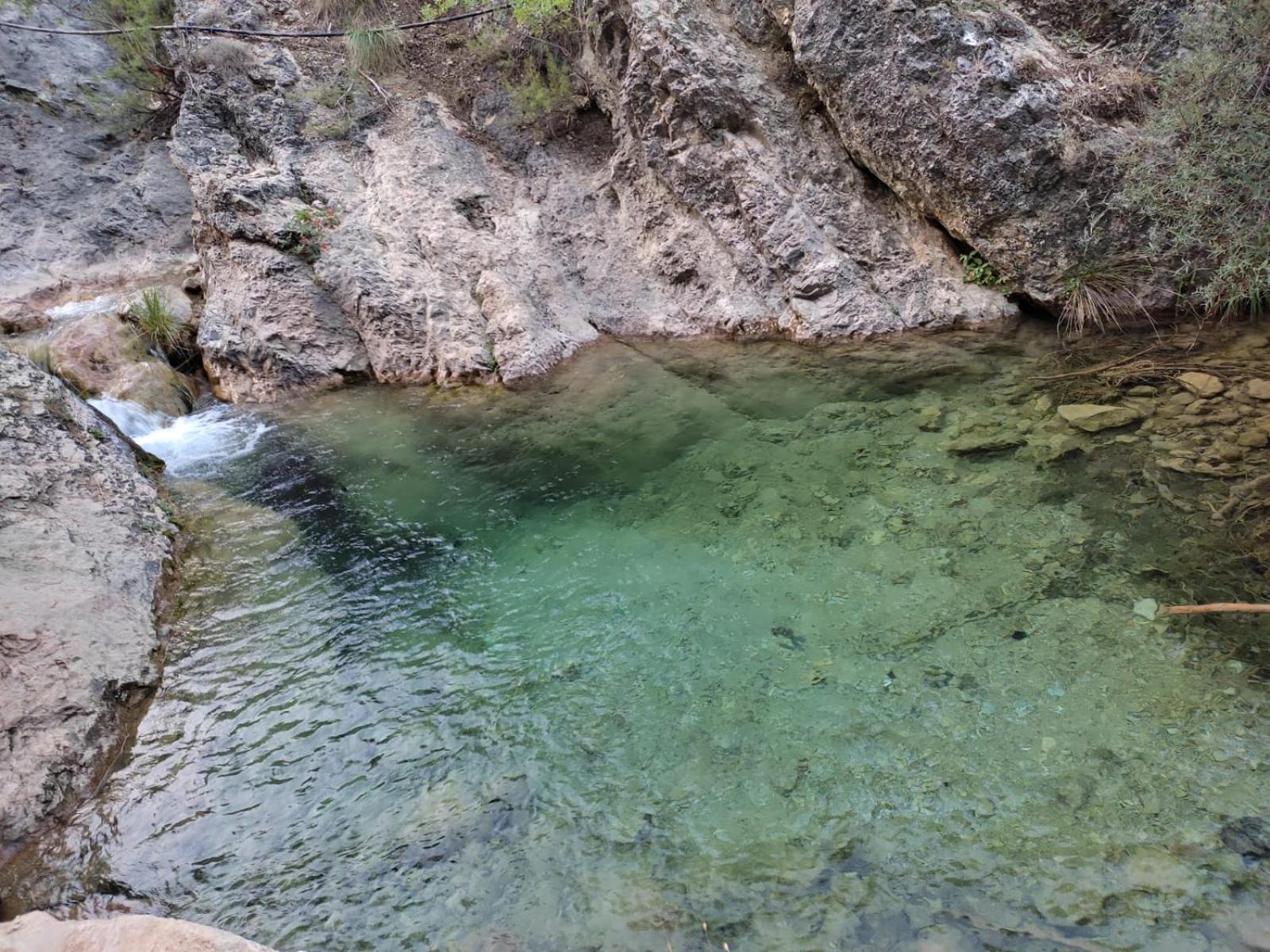 Finca Los Villegas