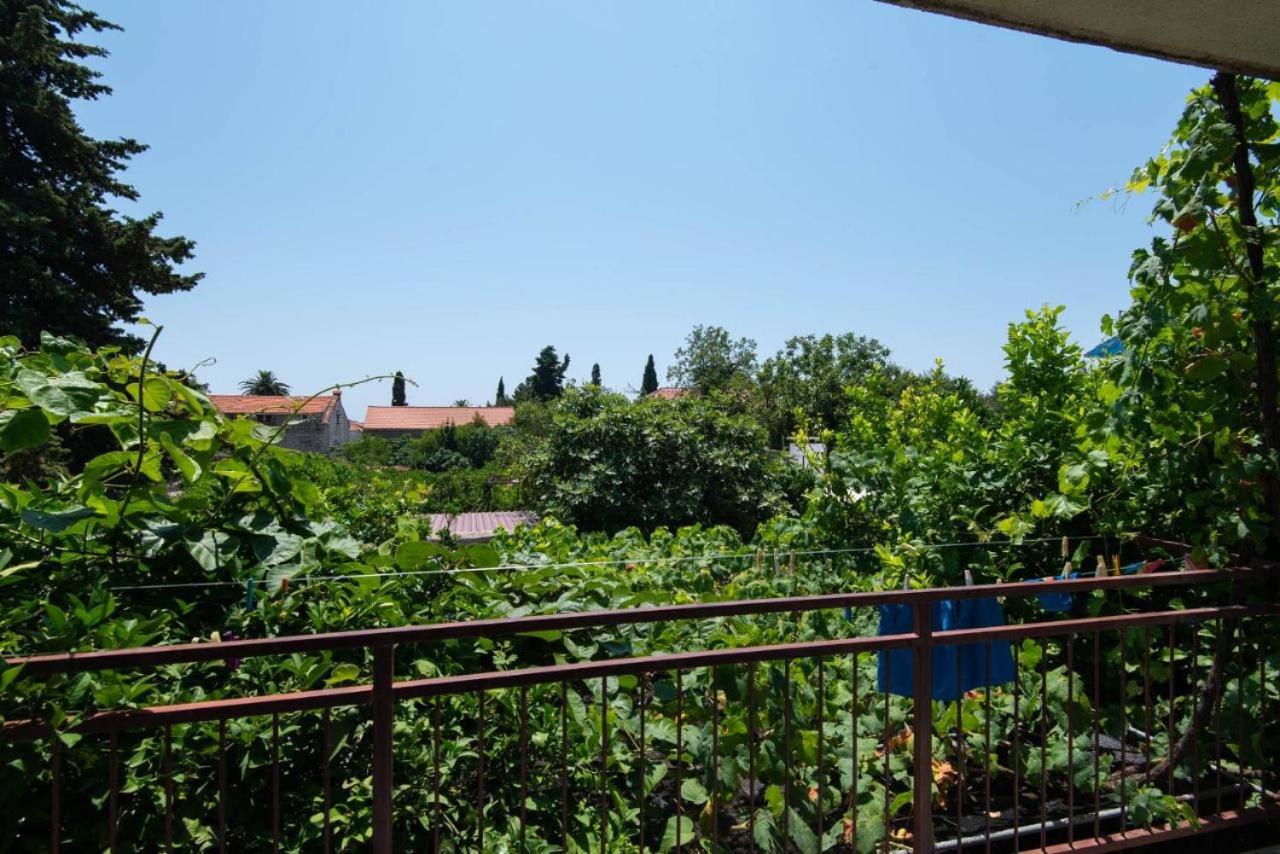 Apartments Ljiljana