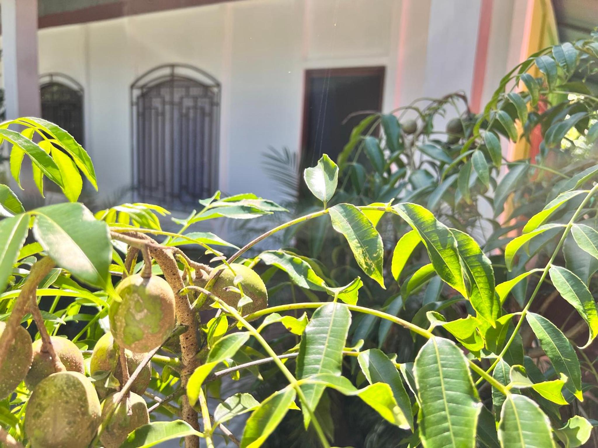 Natural Experience House