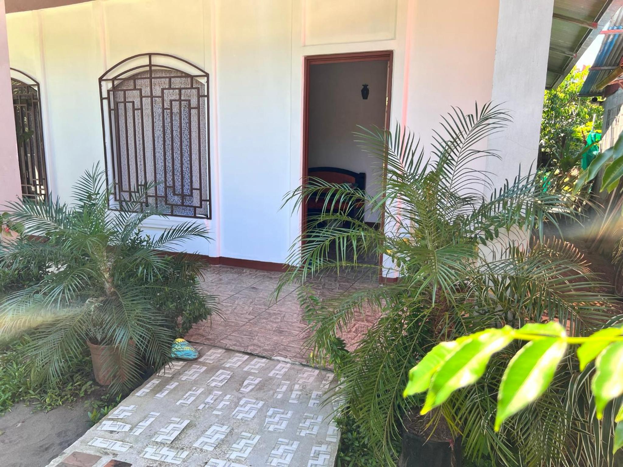 Natural Experience House