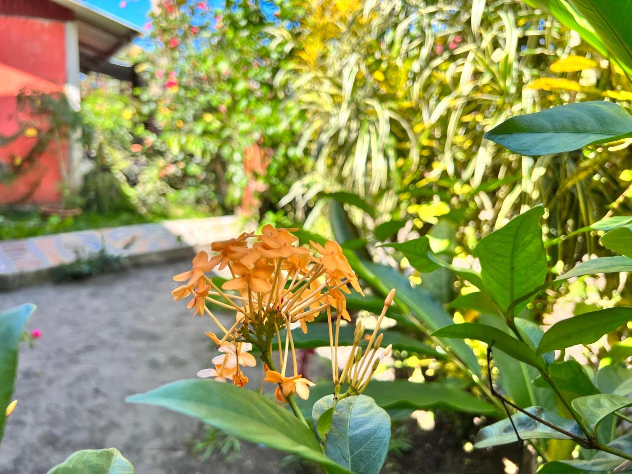 Natural Experience House
