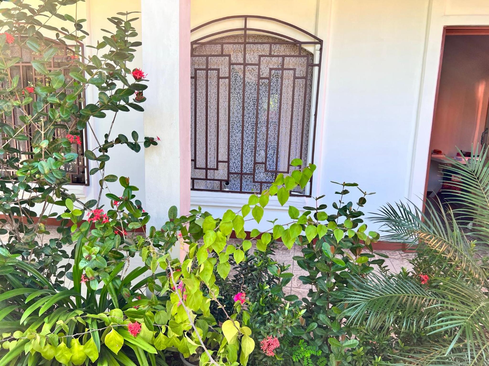 Natural Experience House