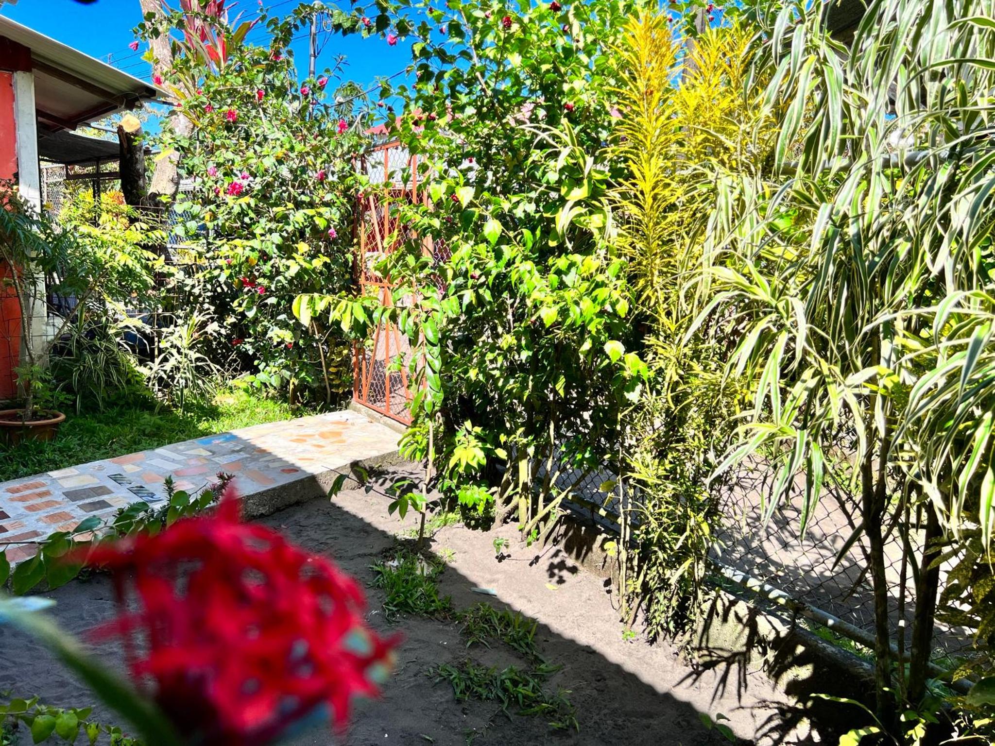Natural Experience House