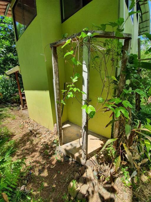 Cabina Gan Eden - Walking distance from river view 5
