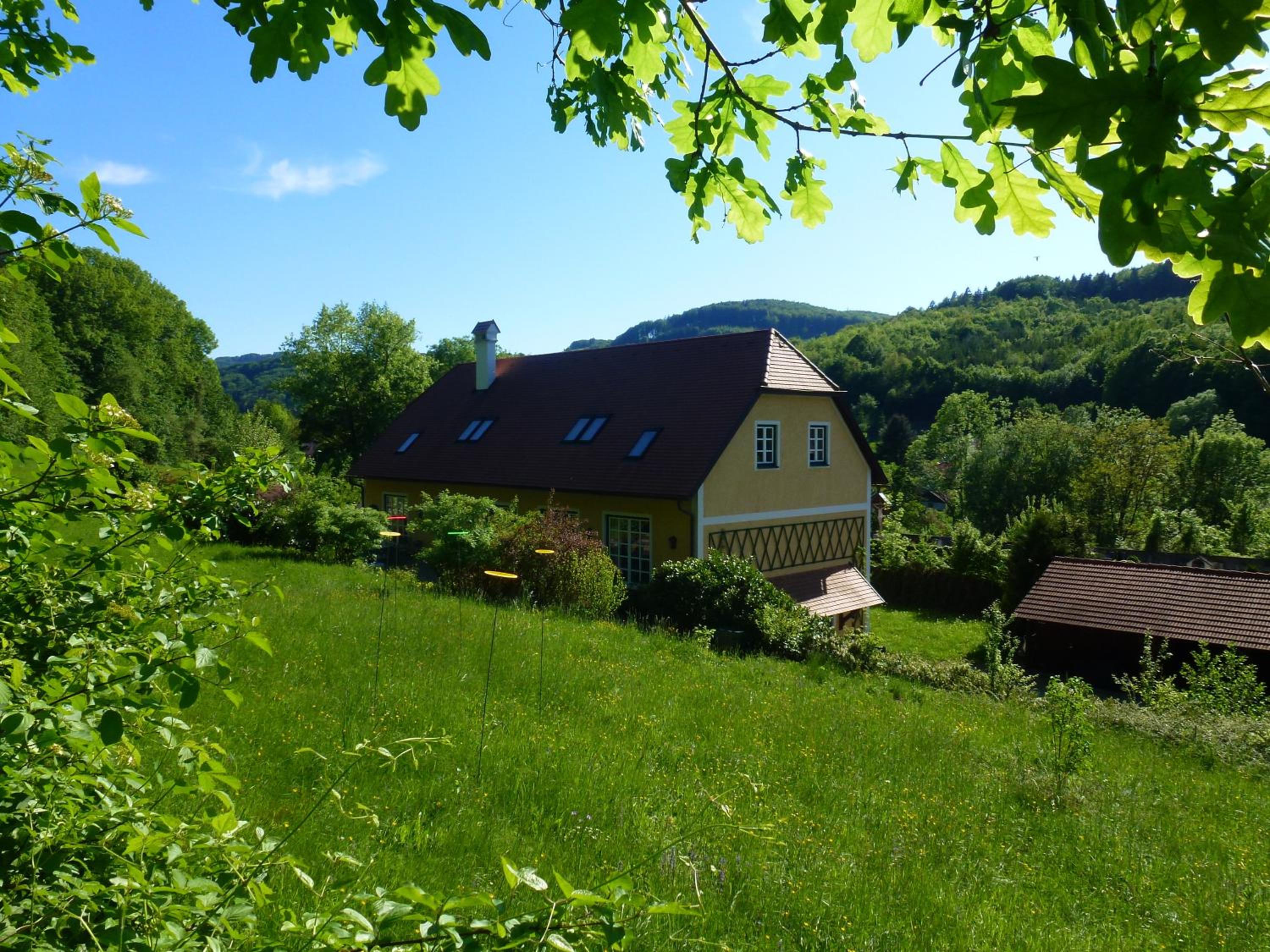 Photo 15