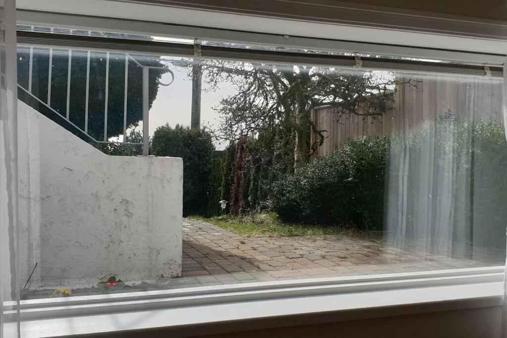 Happy, Cozy, Loving Guest Space in West Vancouver