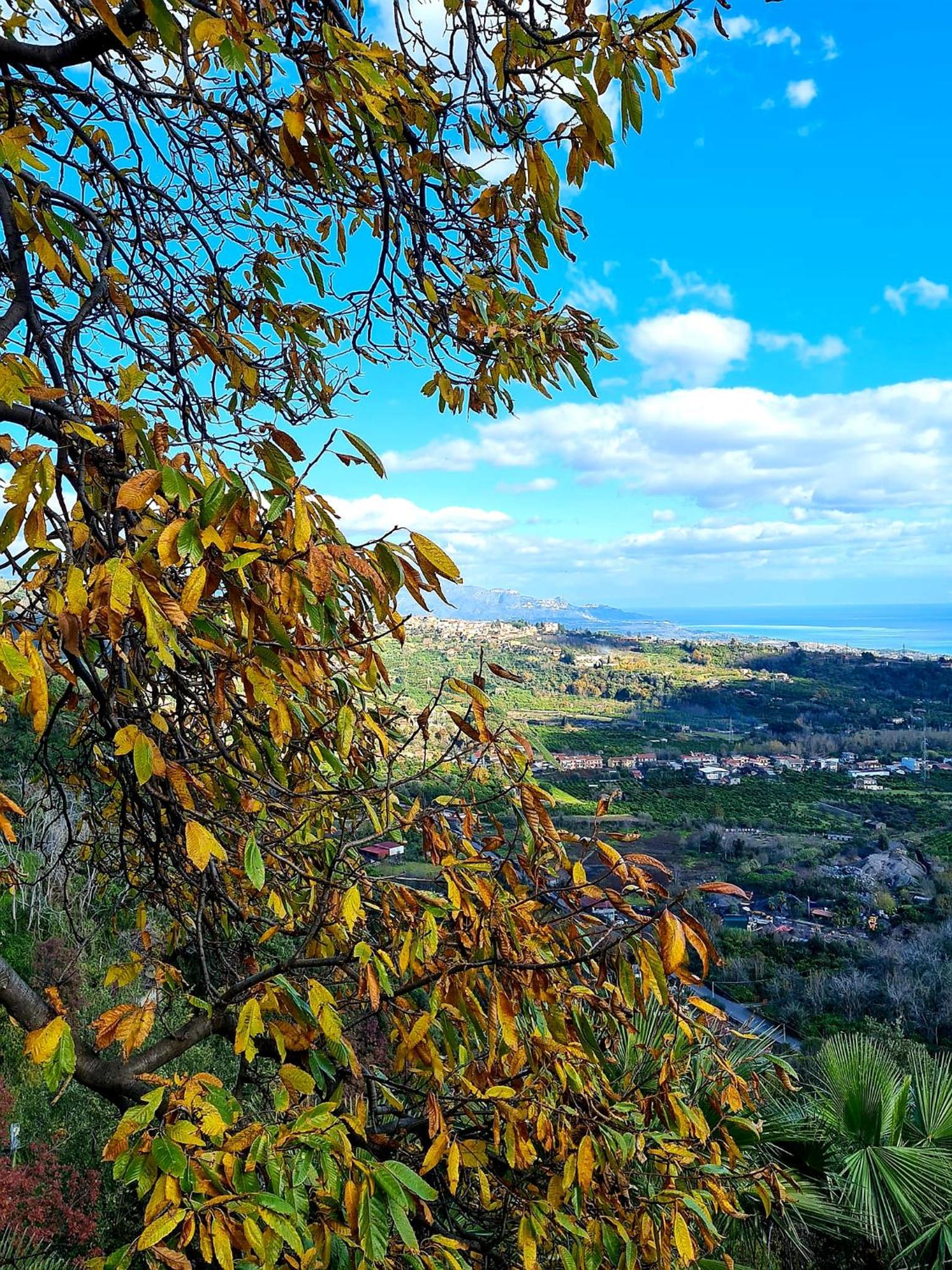 Etna panoramic villa with swimming pool view 3