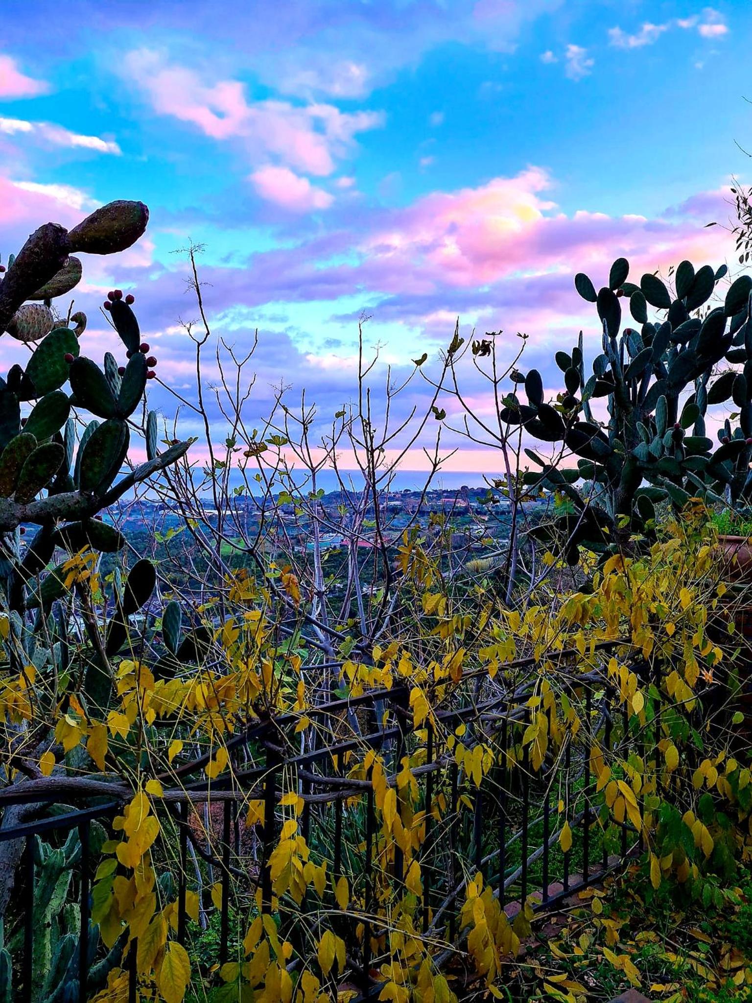 Etna panoramic villa with swimming pool view 4
