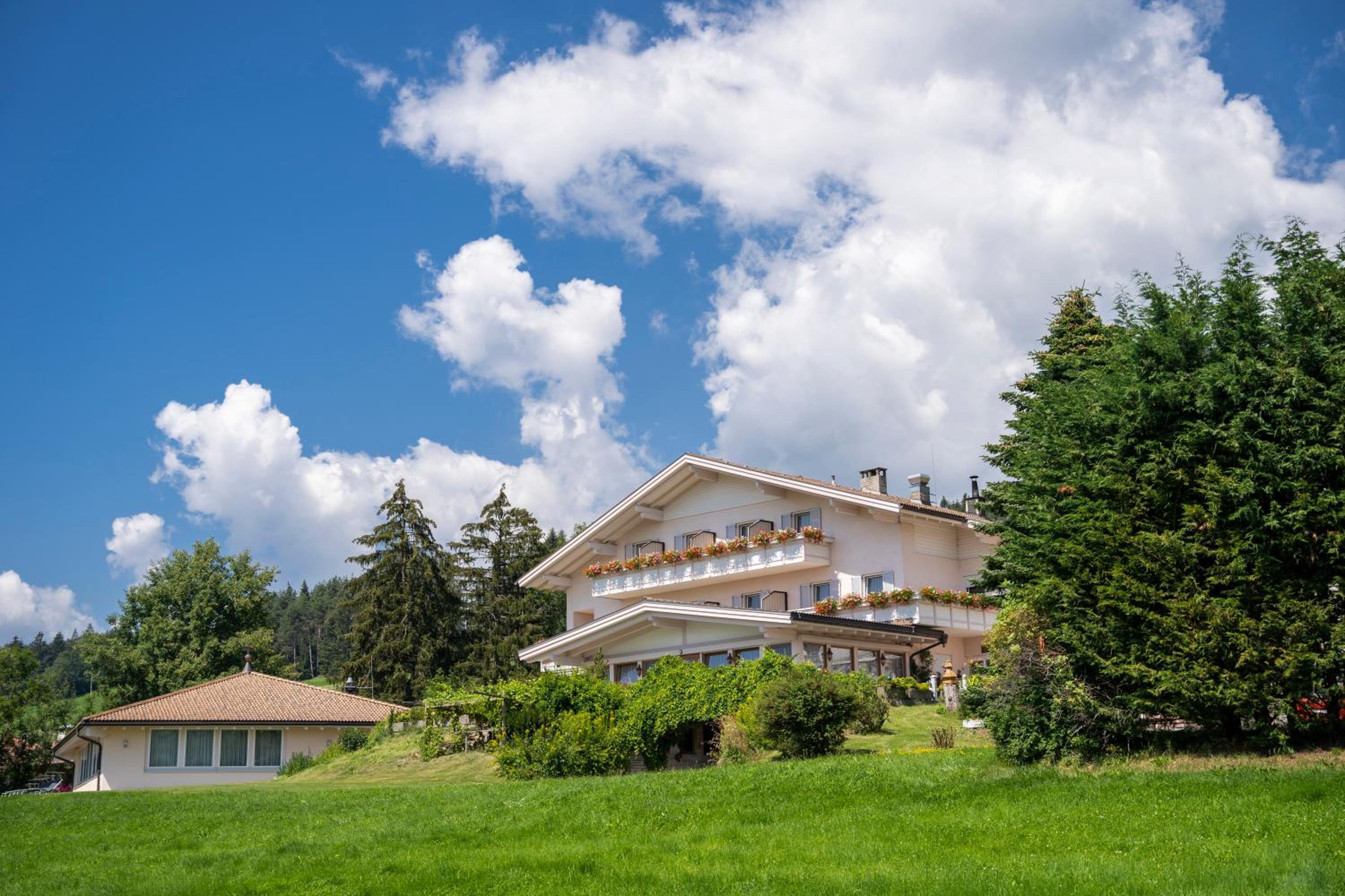 Hotel Moserhof view 3