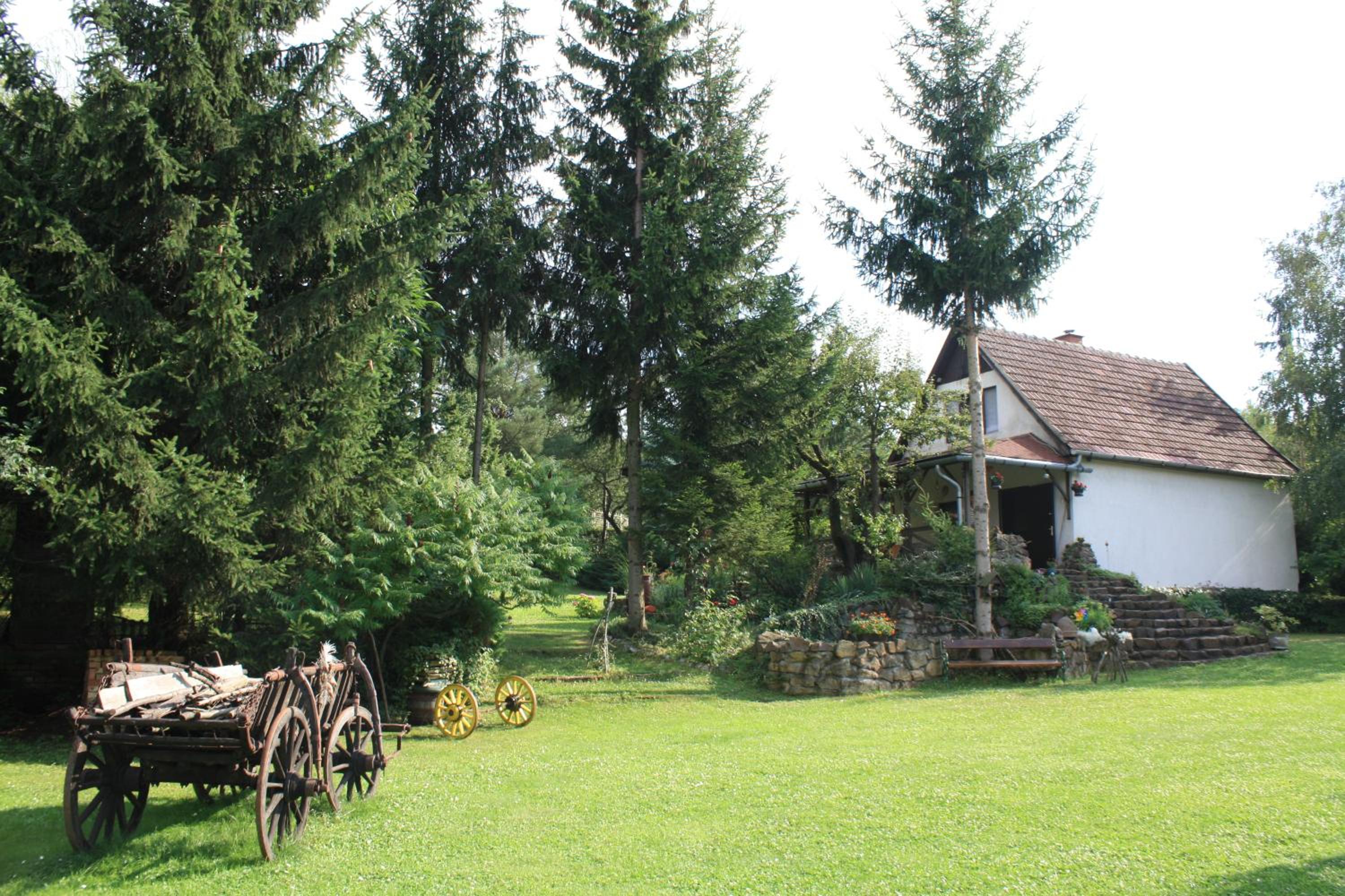 Photo 41