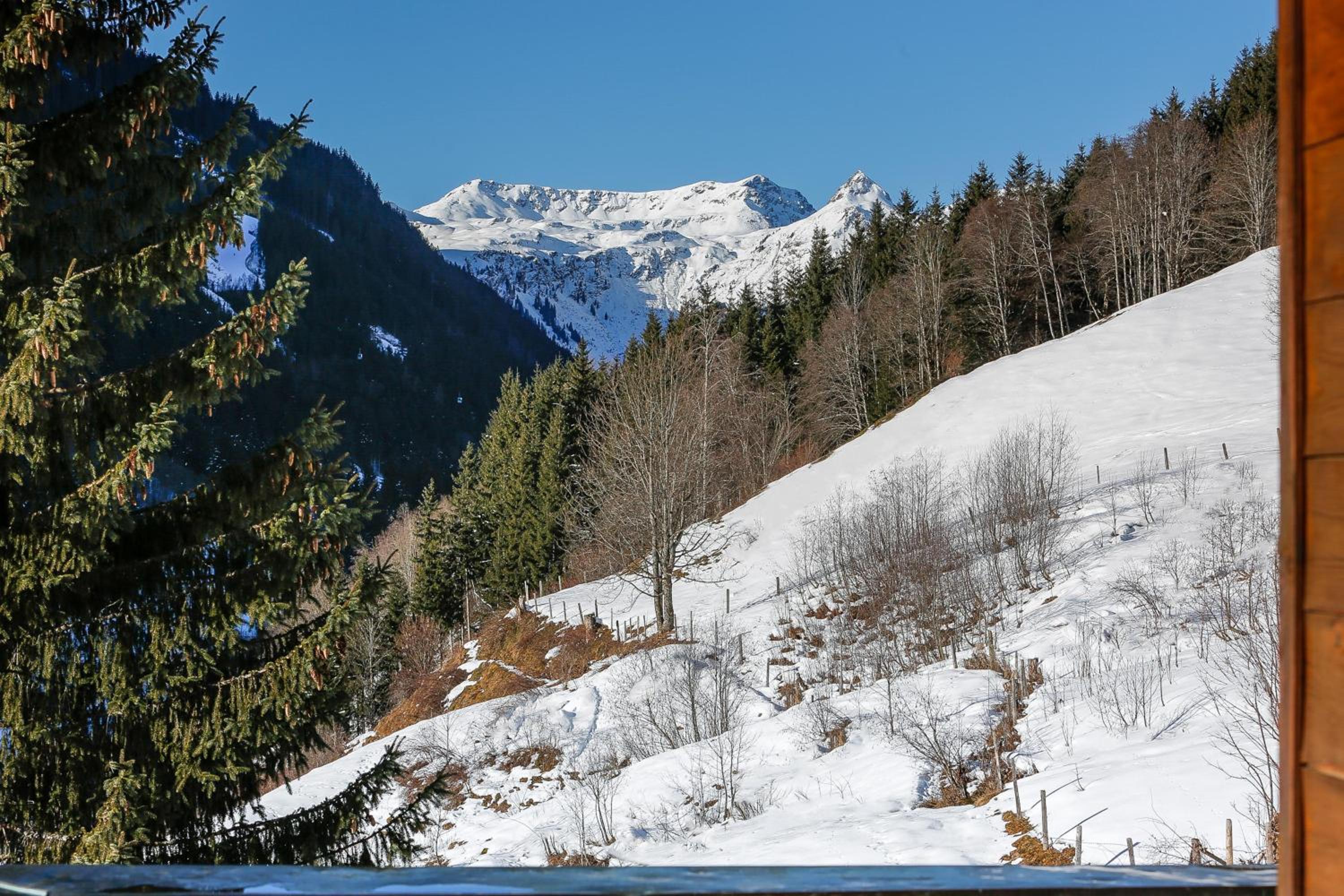 Appartementhaus Tannenberg