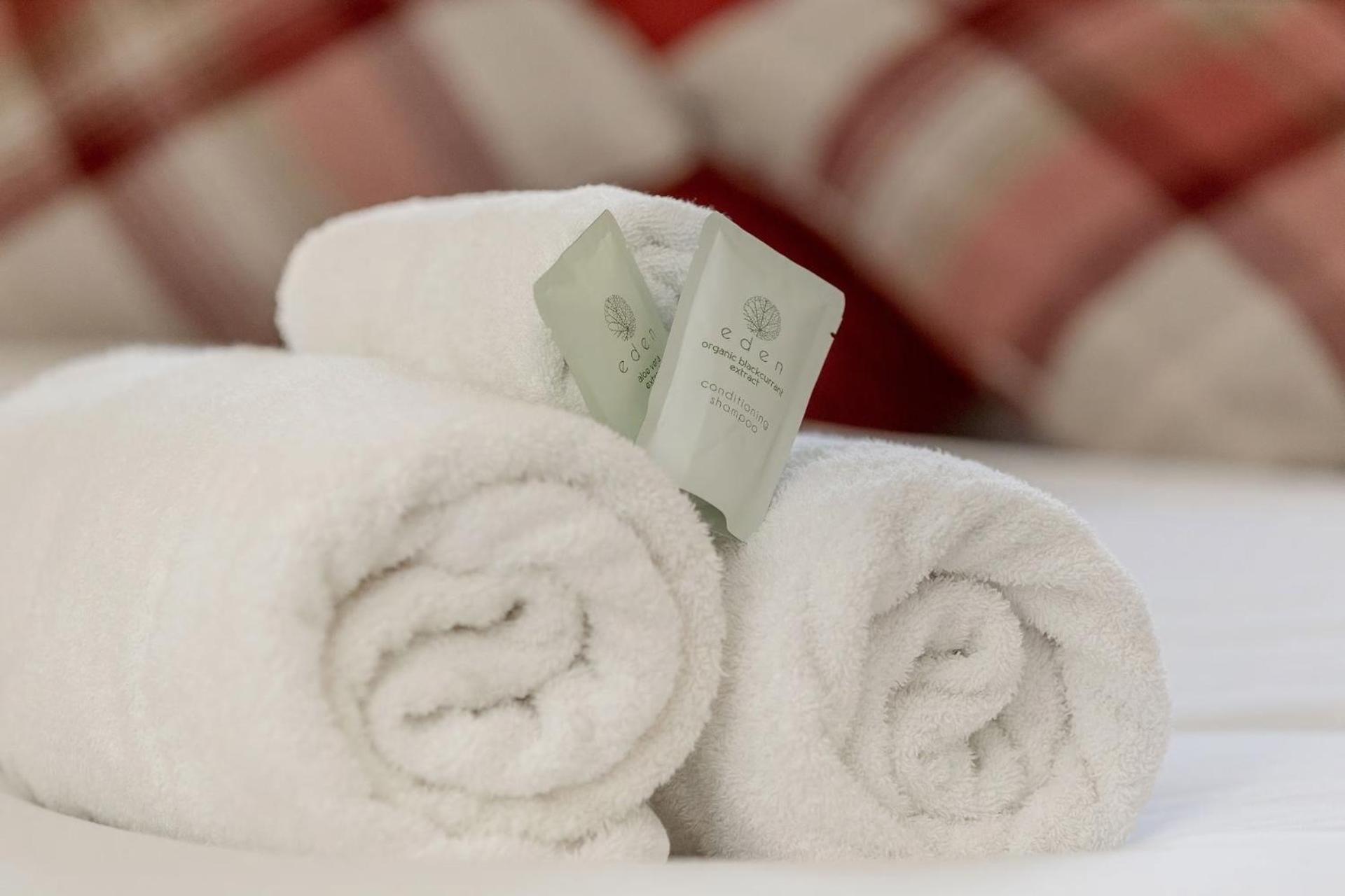 Stunning Panoramic Views: Heart of the Royal Mile