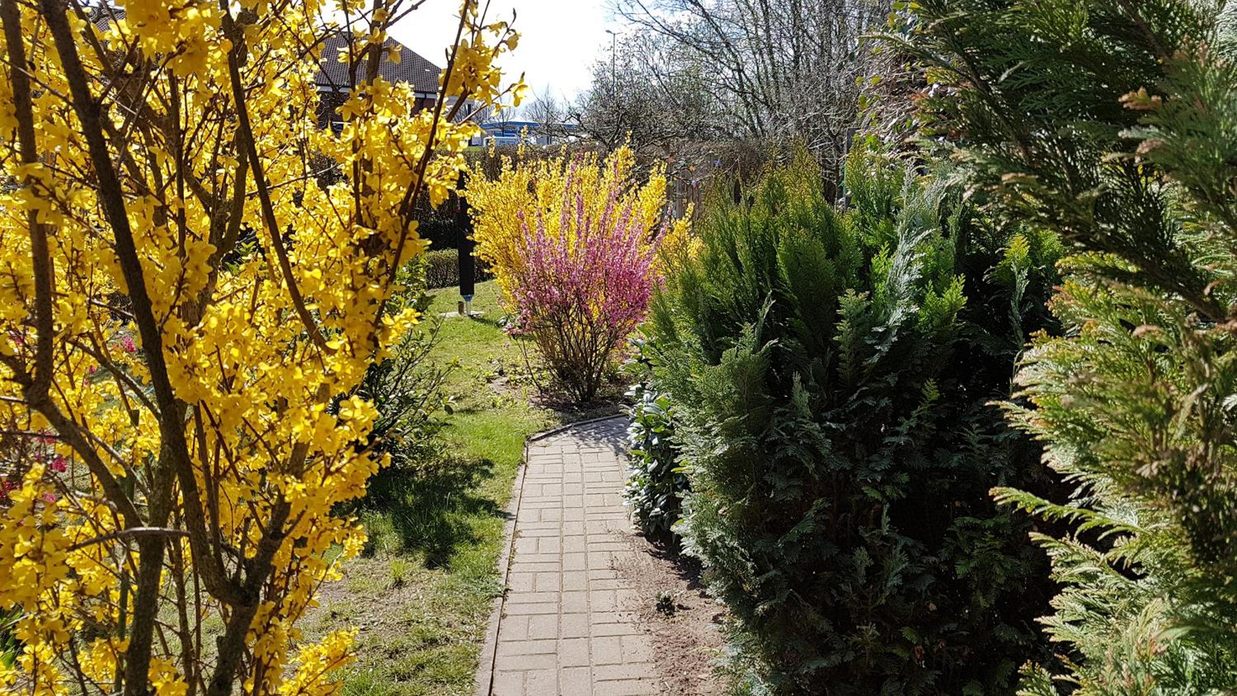 Photo 15
