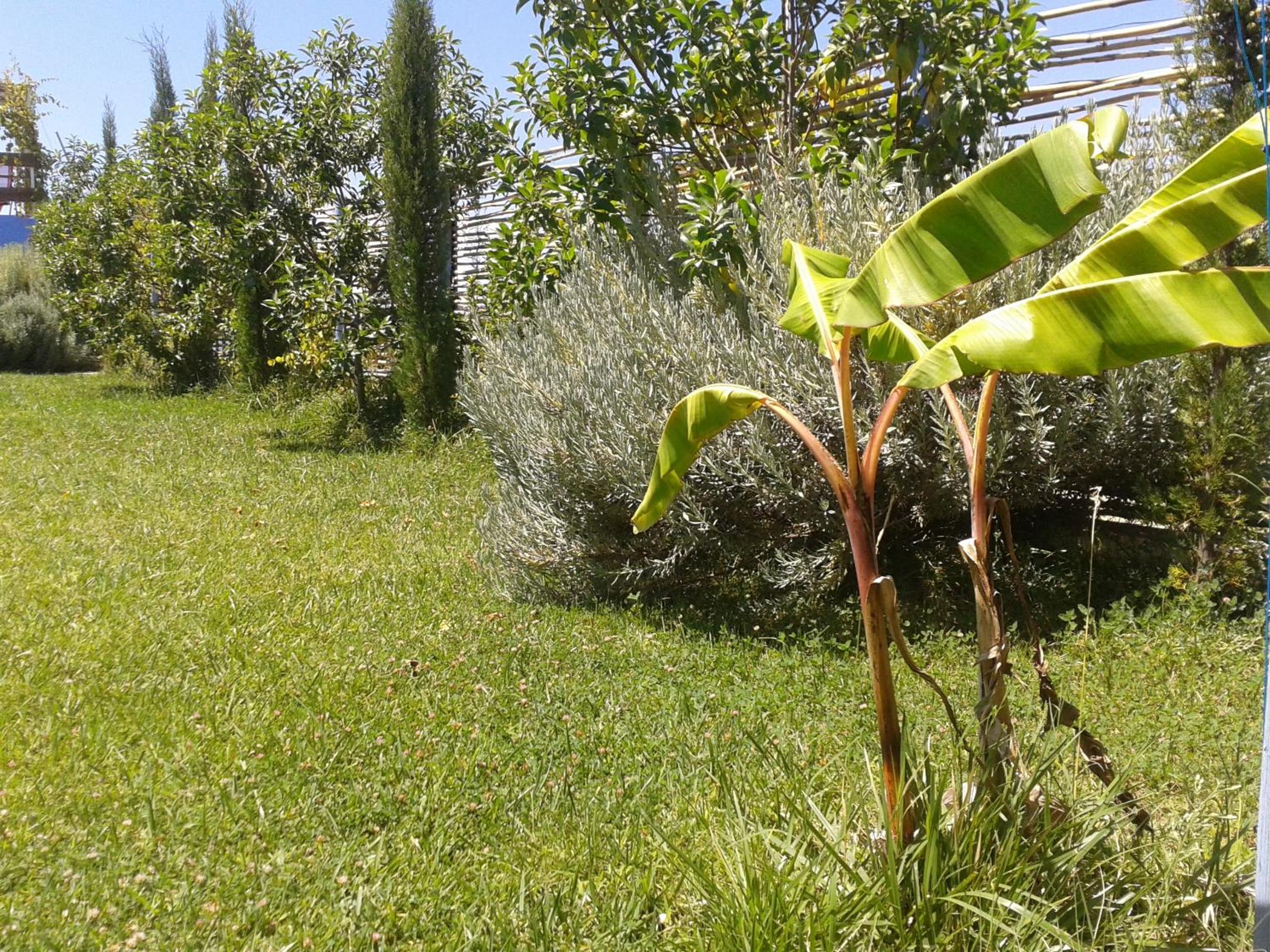 Quinta da Fornalha - Santuario Agroecologico