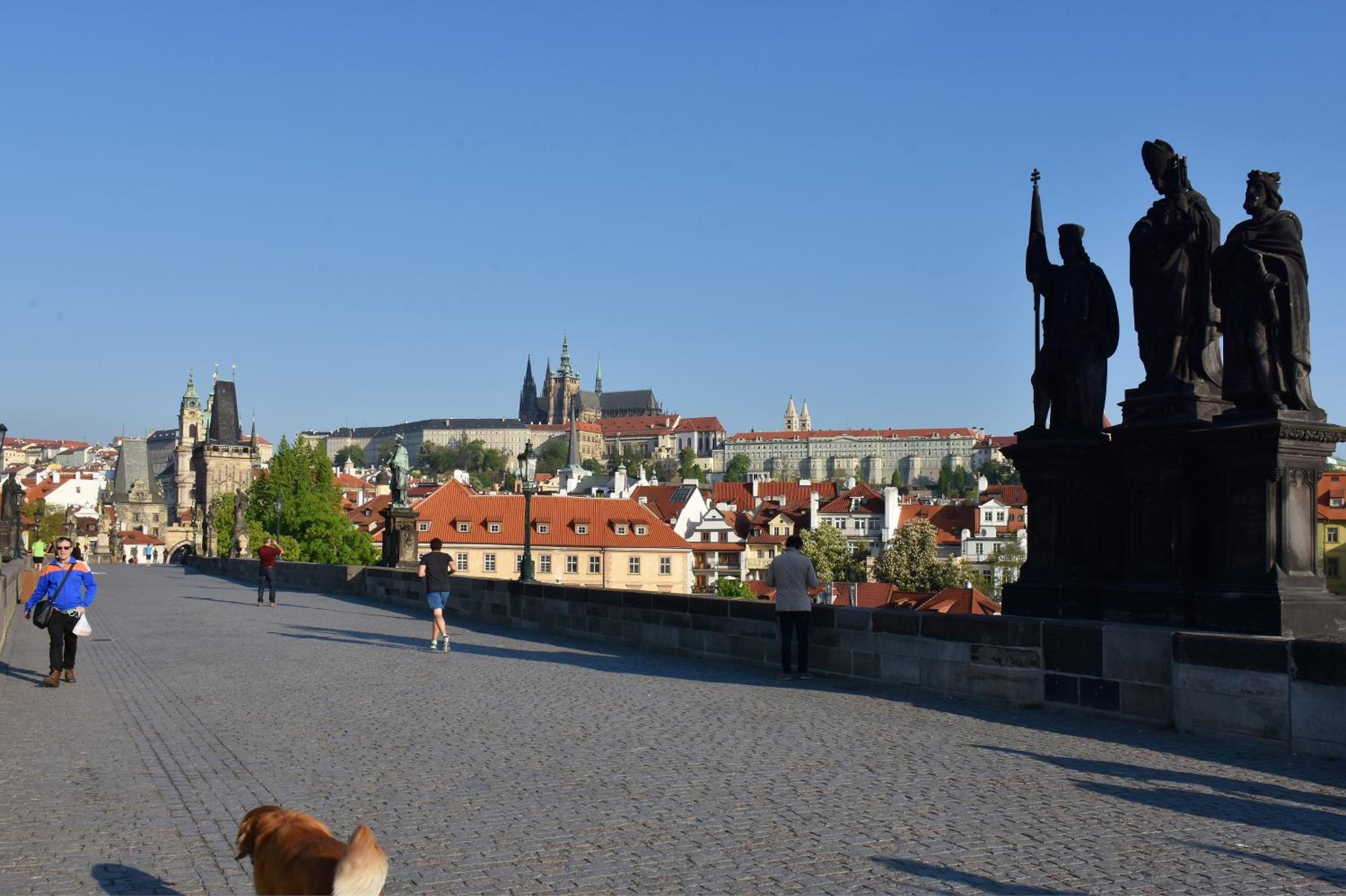 Get Prague Flat Stepanska