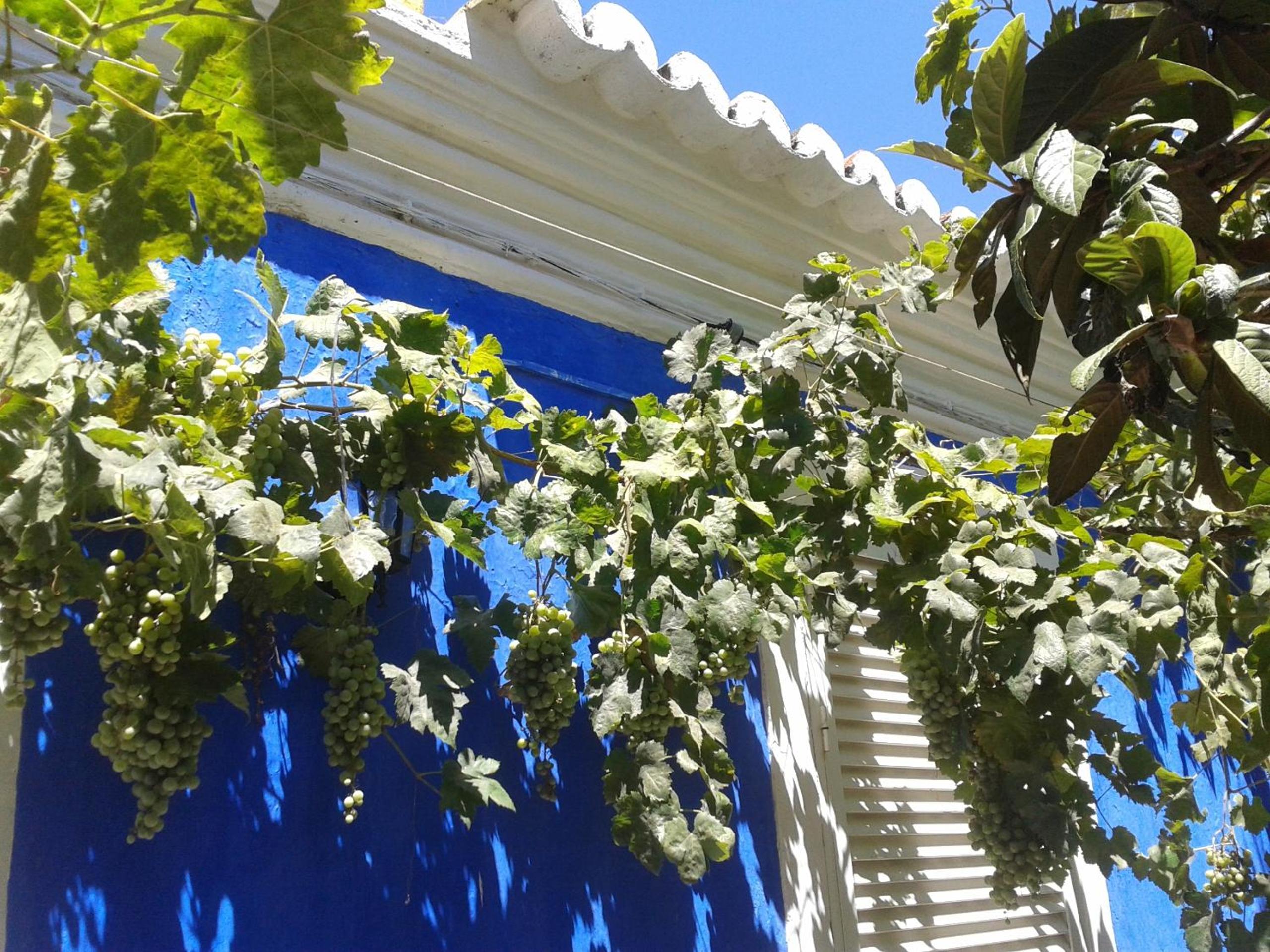 Quinta da Fornalha - Santuario Agroecologico