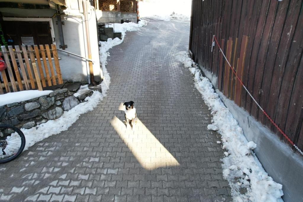 Photo 52