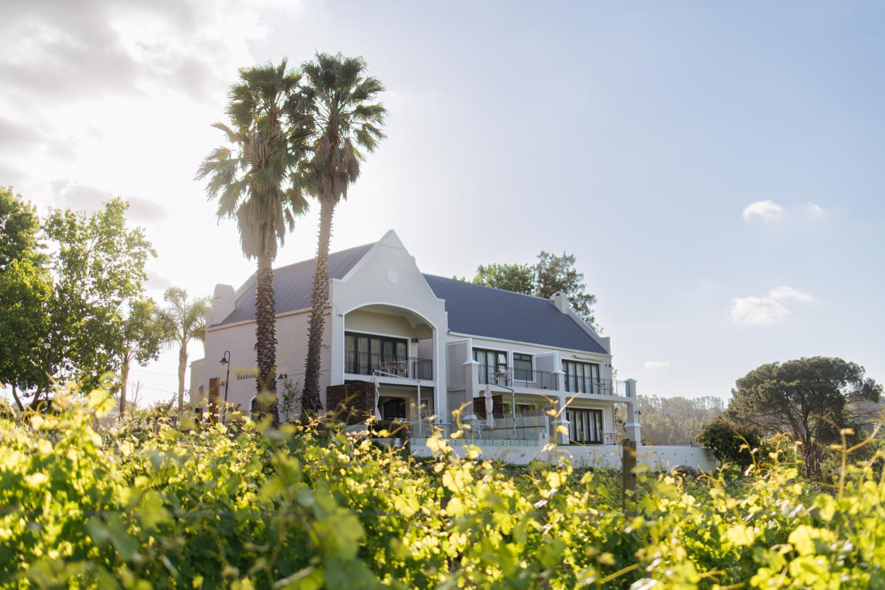 Hotel Banhoek Lodge - Image 1