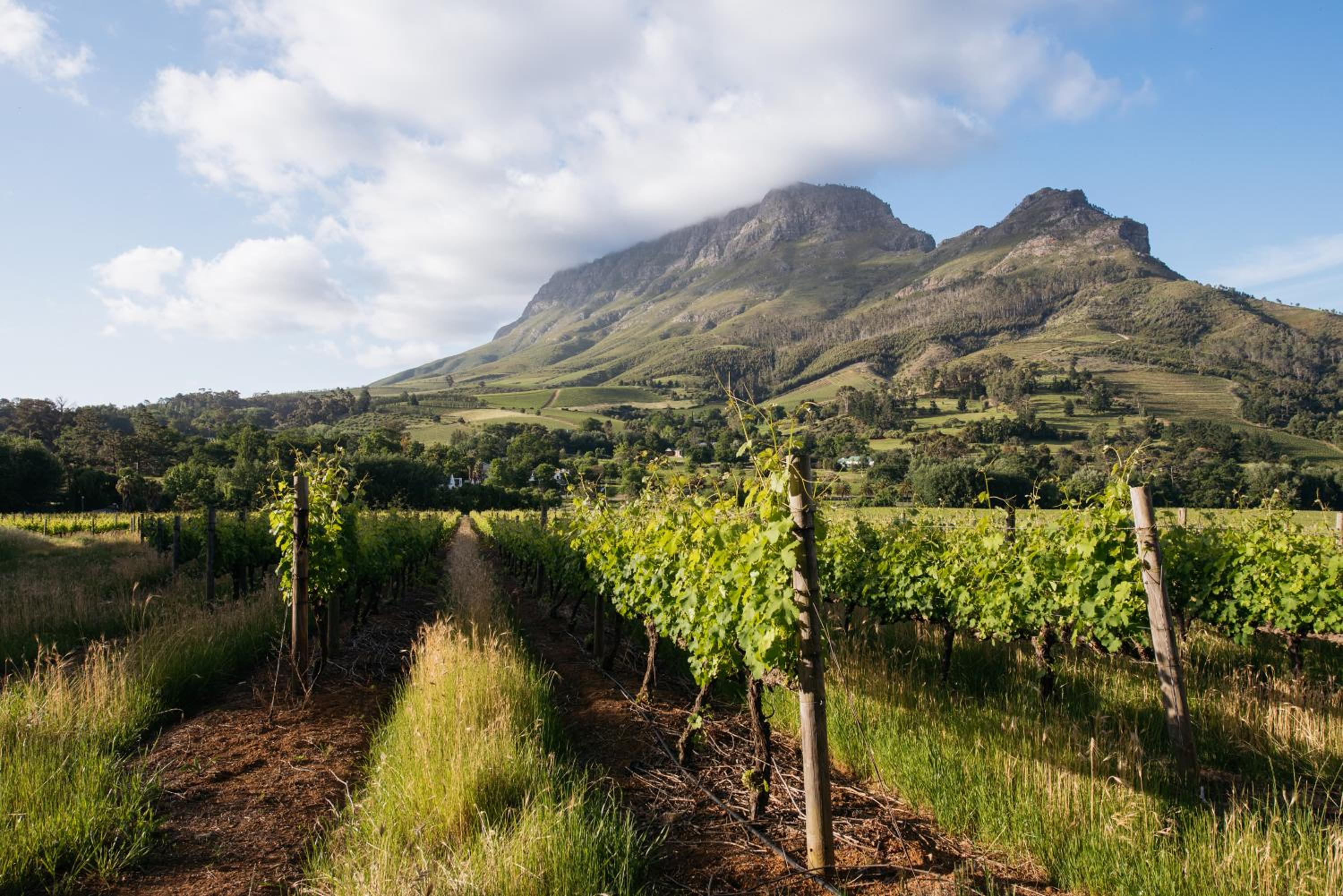 Banhoek Lodge
