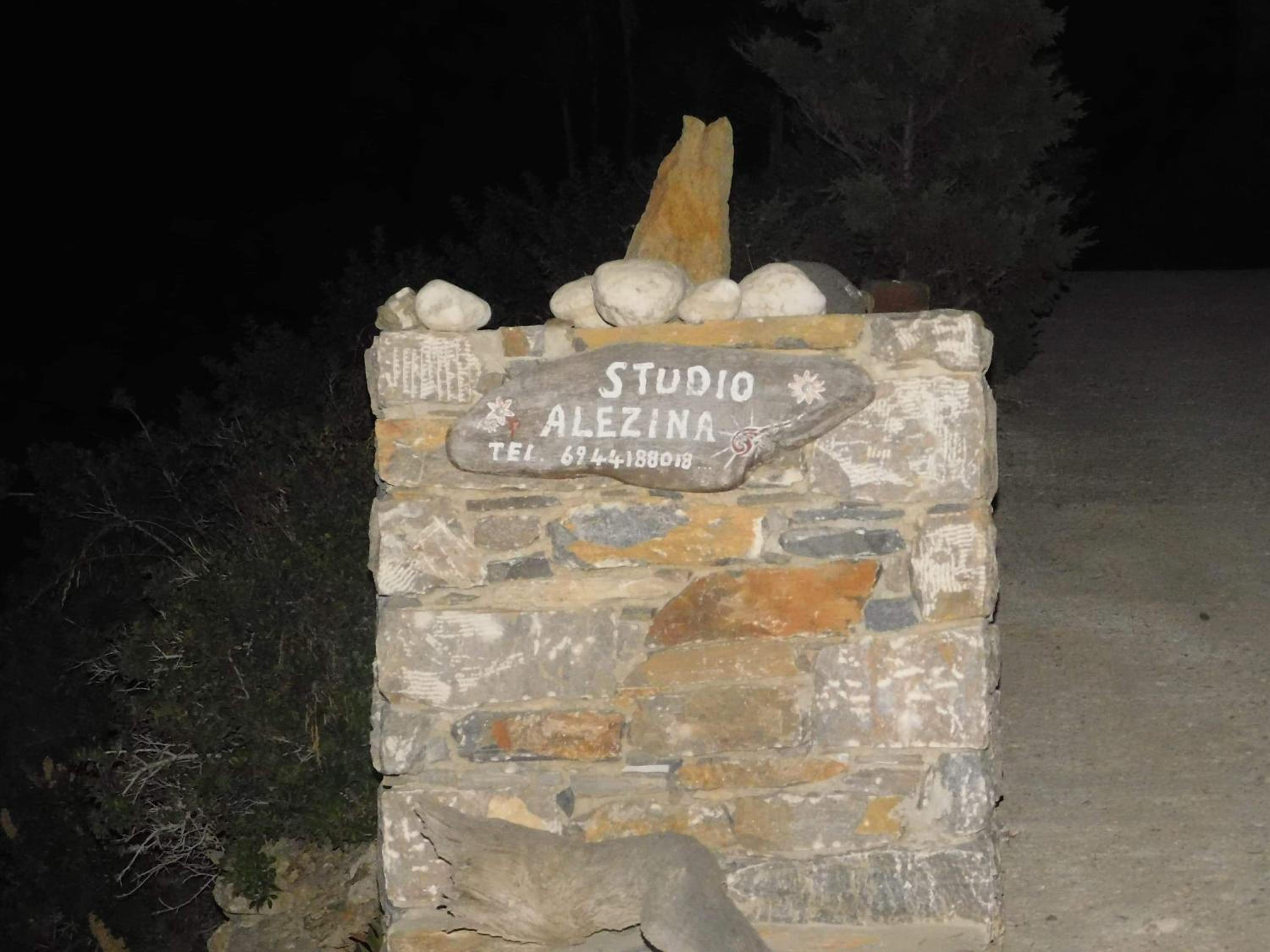 Alezina studios