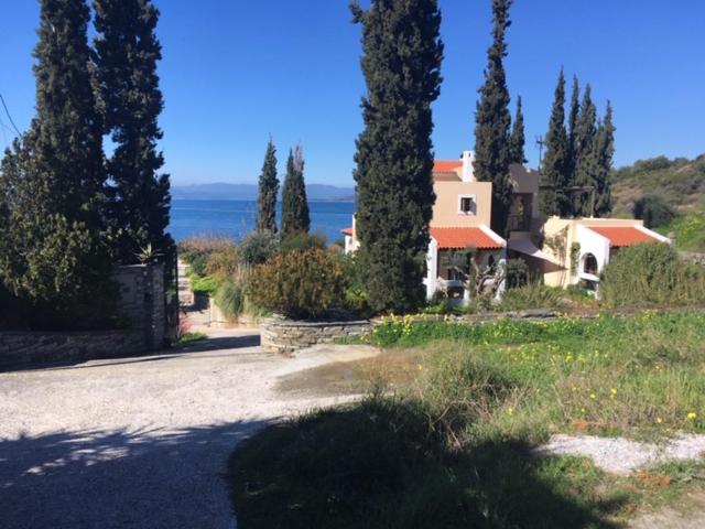 Oneiro view 5