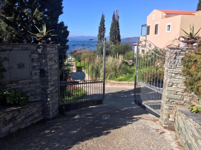 Oneiro view 2
