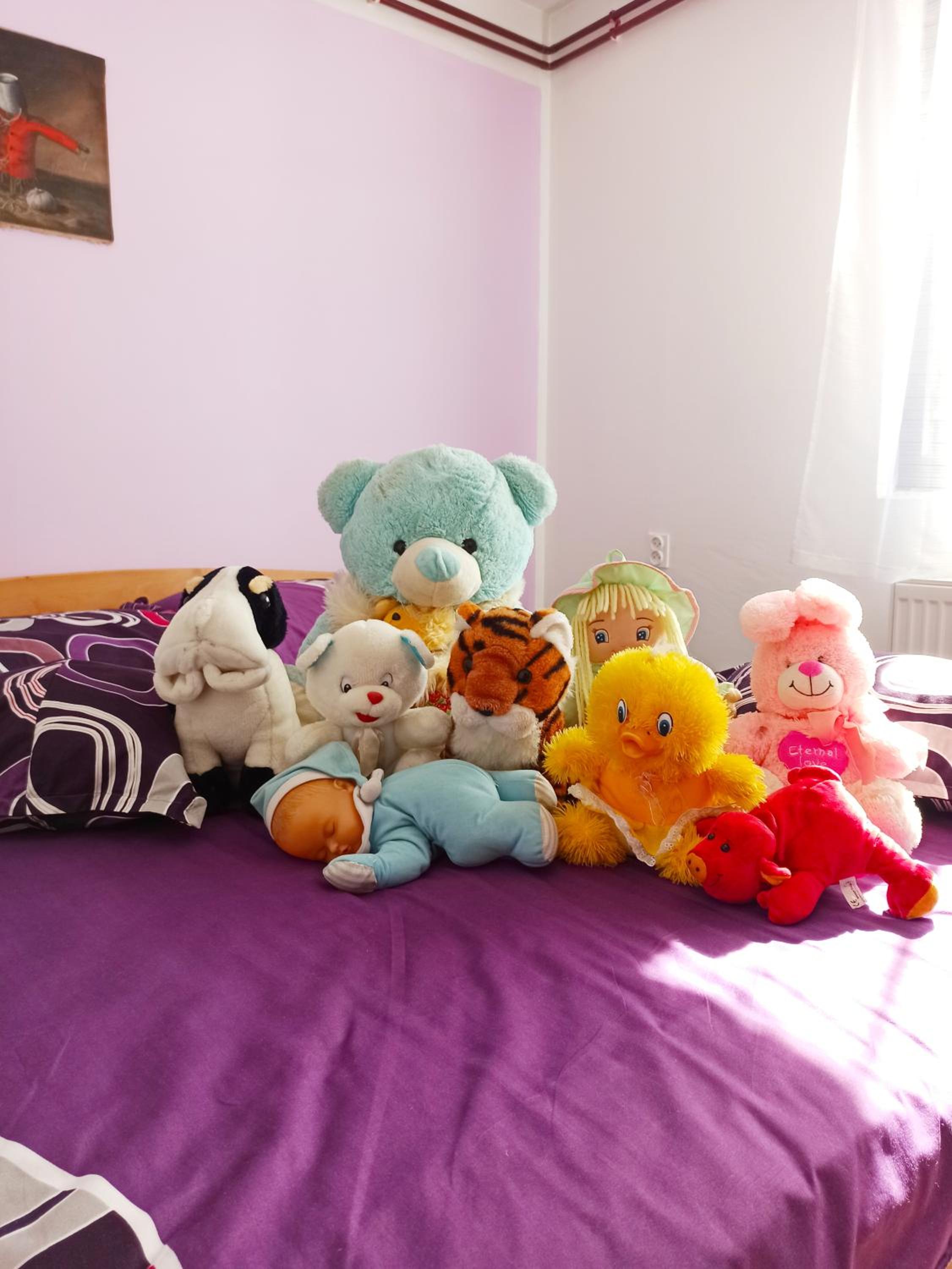 Photo 44