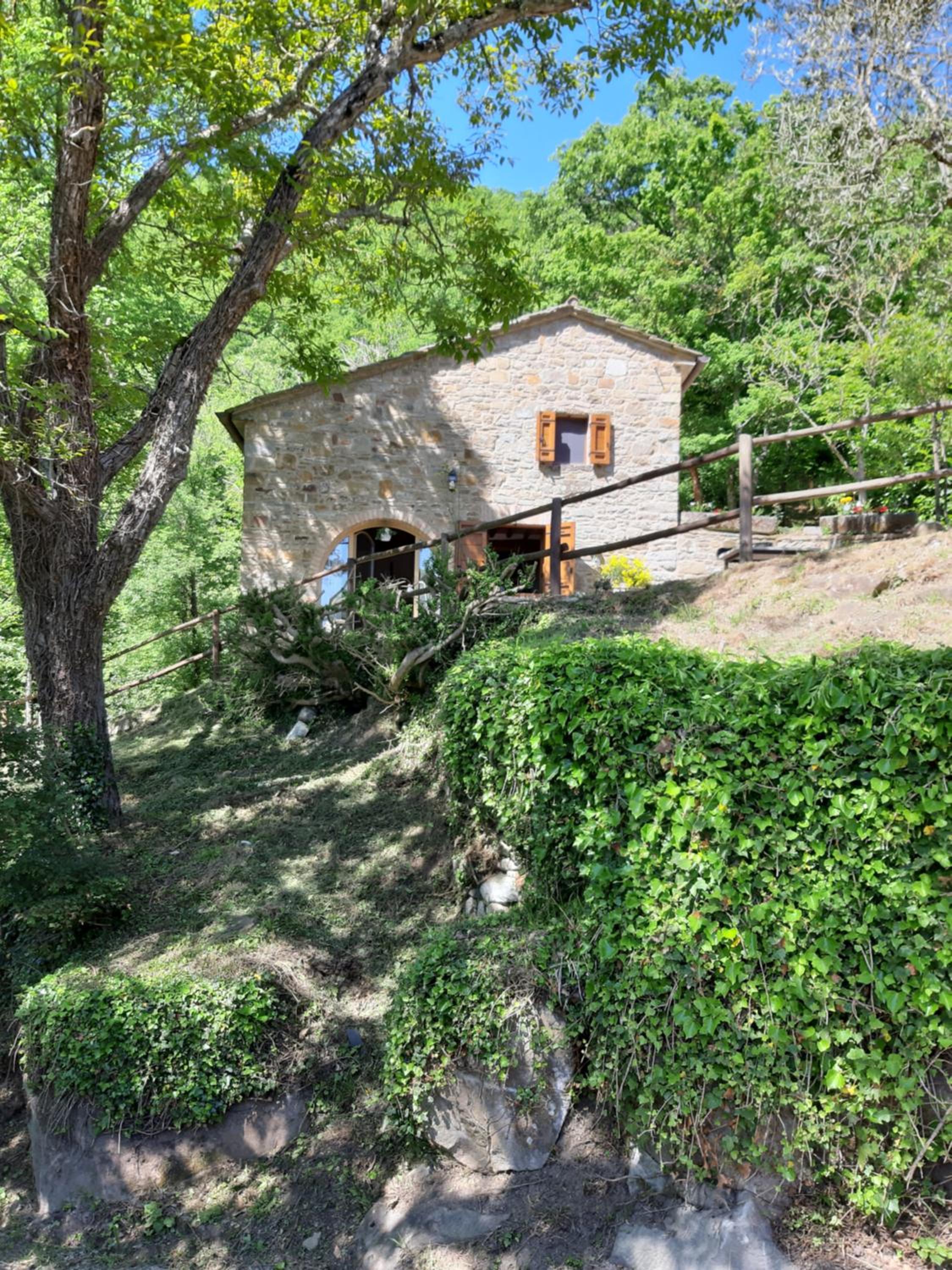 Casetta nel bosco - L'Antico Metato view 4