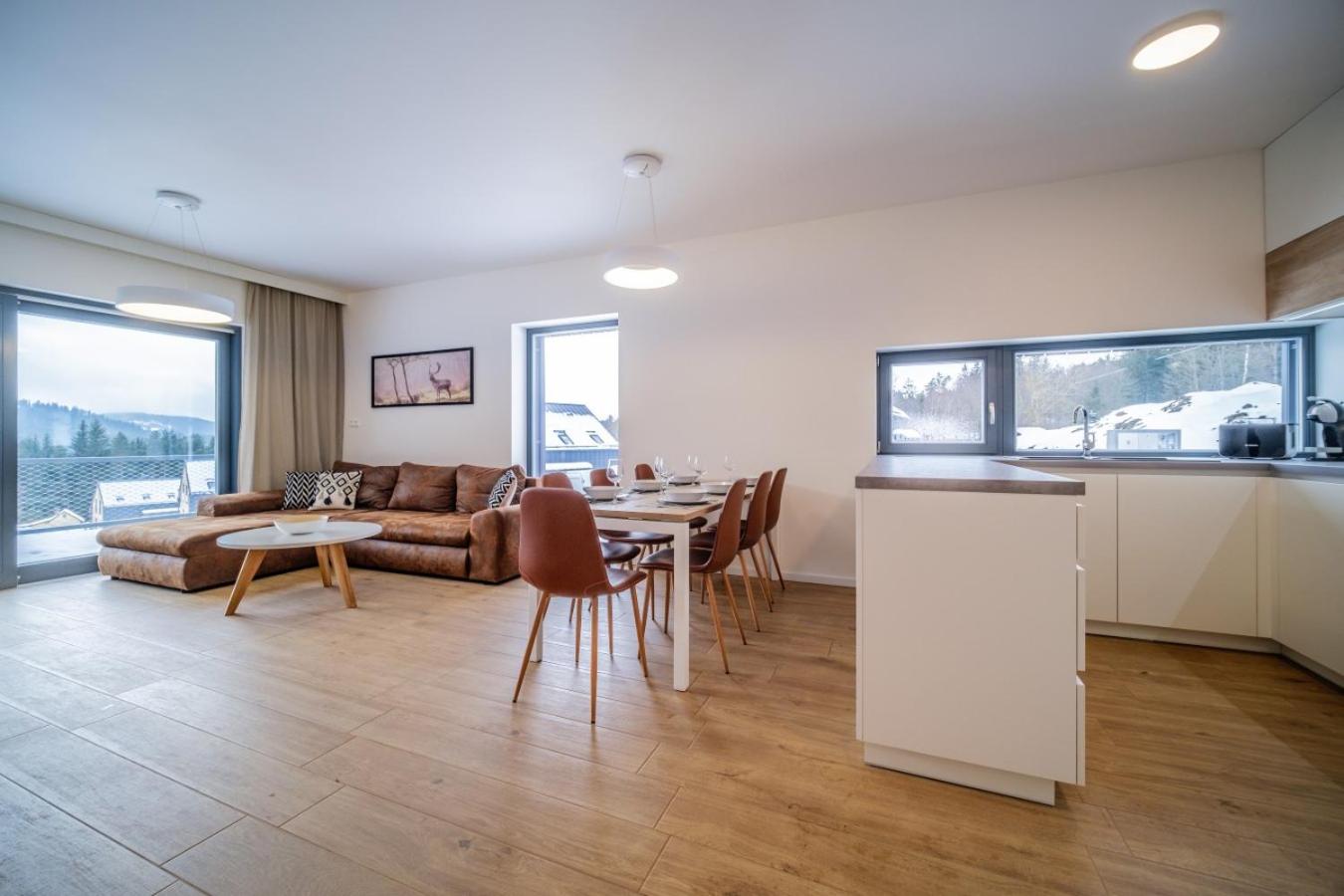 Apartmán U Hájenky 429