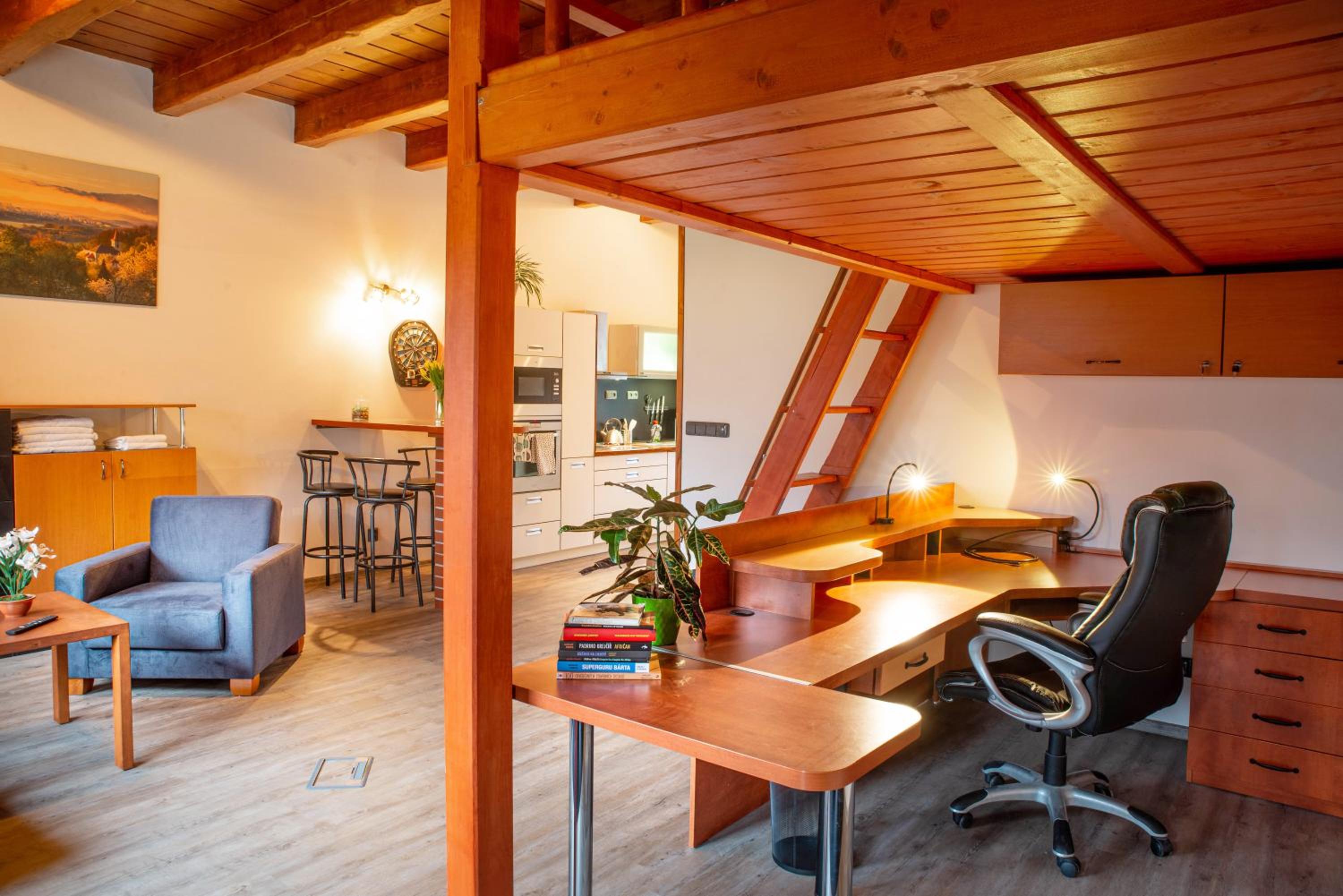 Apartmán na okraji města s vlastním parkováním