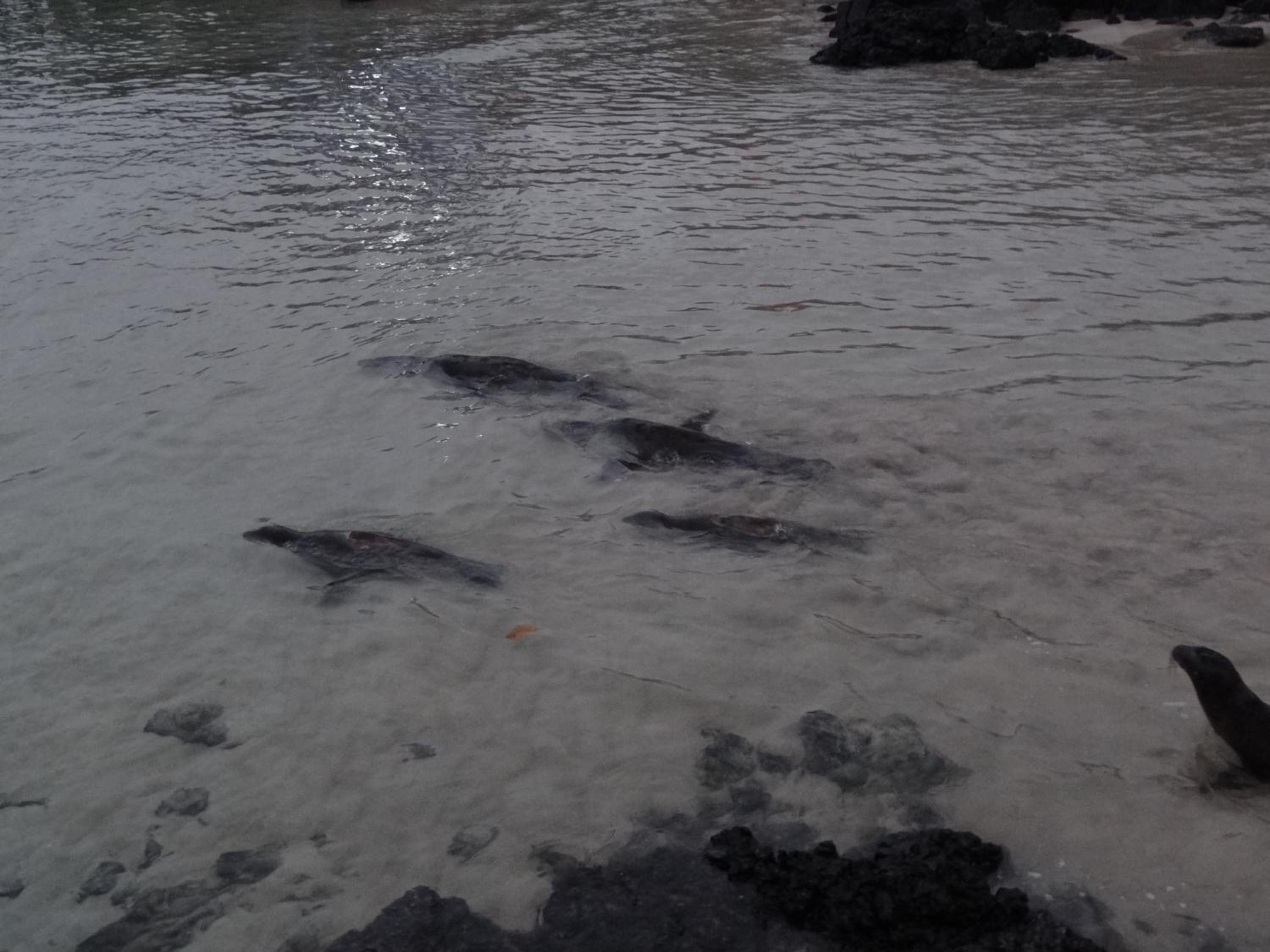 Paraiso de Isabela