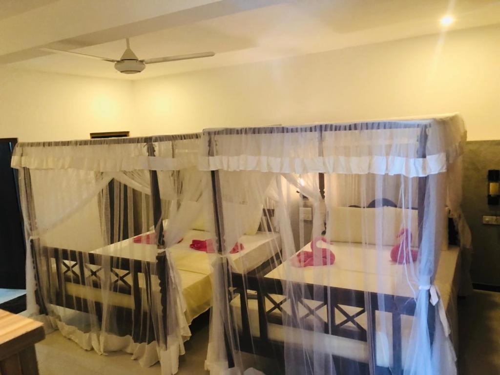 Coral Palm Villa and Apartment