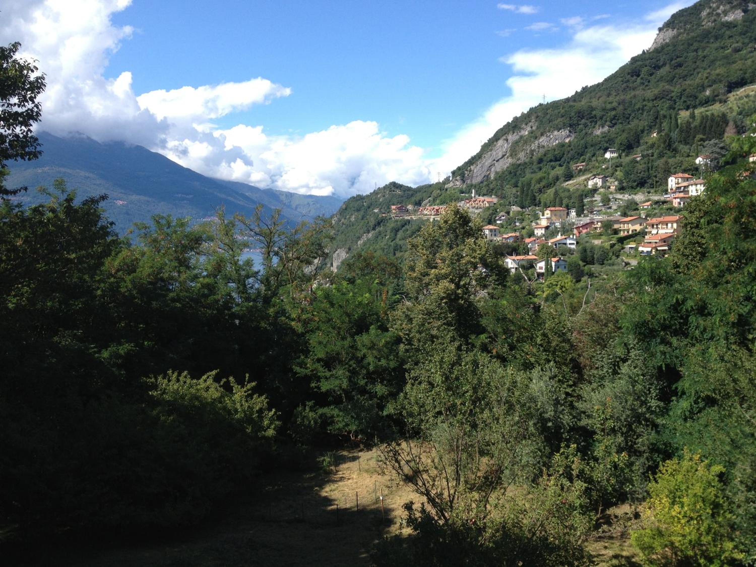 Photo 27