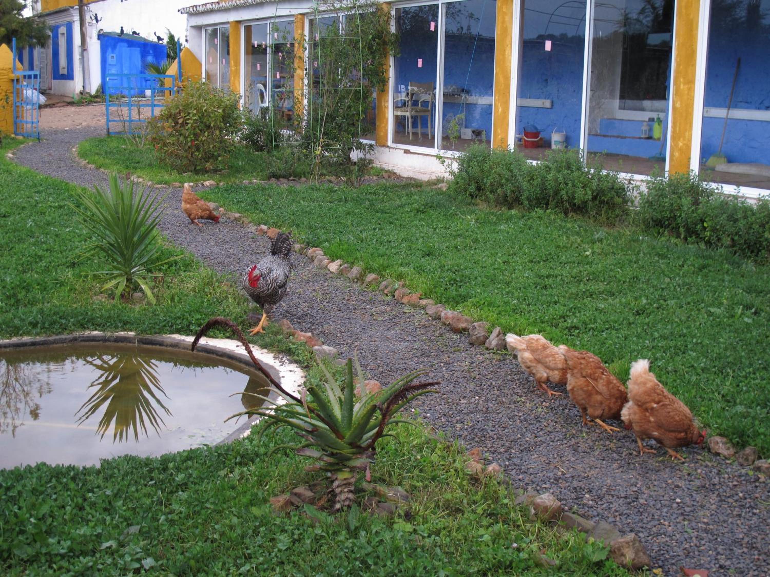 Quinta da Fornalha - Santuario Agroecologico