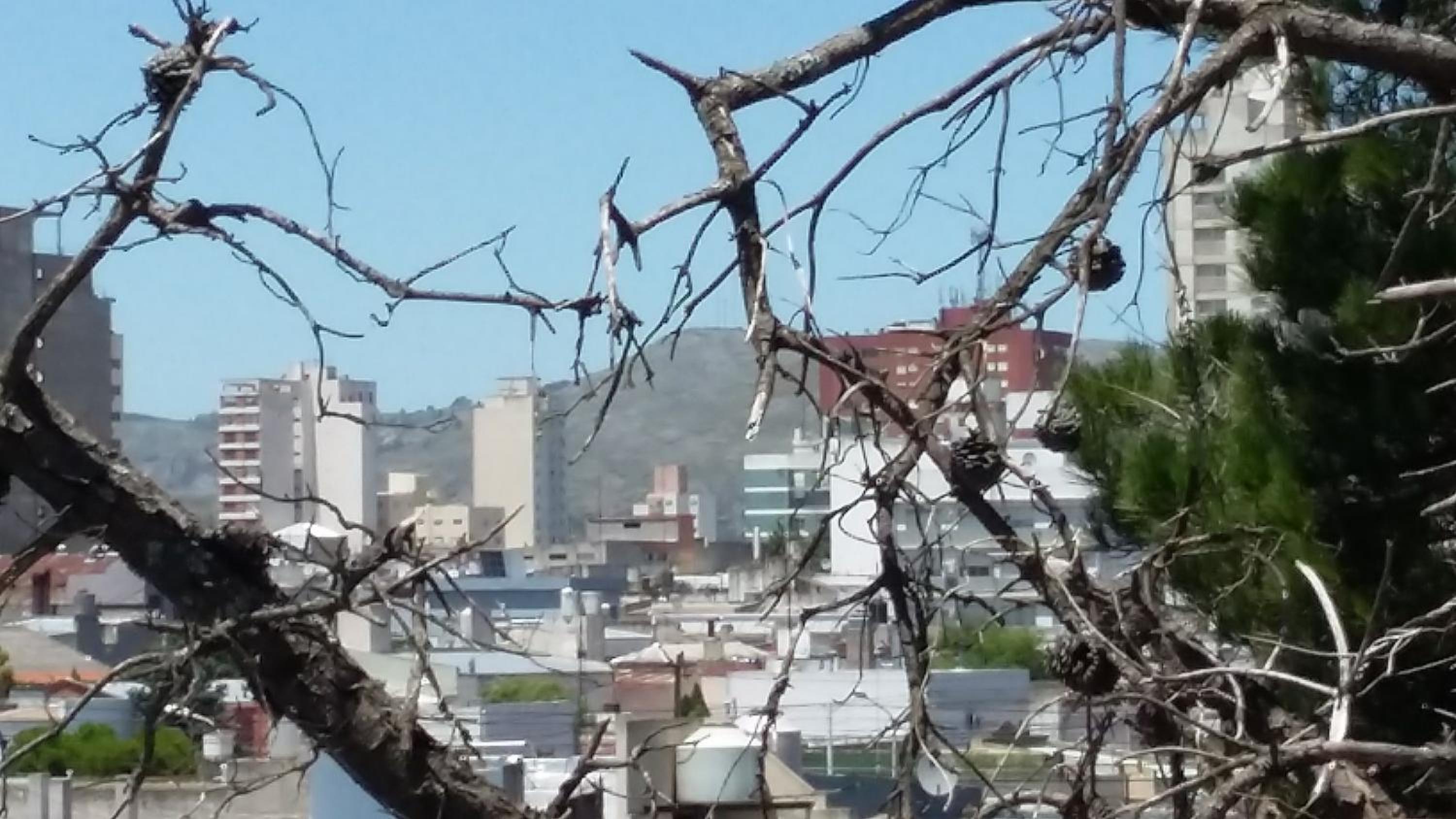Dpto. luminoso, céntrico, nuevo: LA SERENA