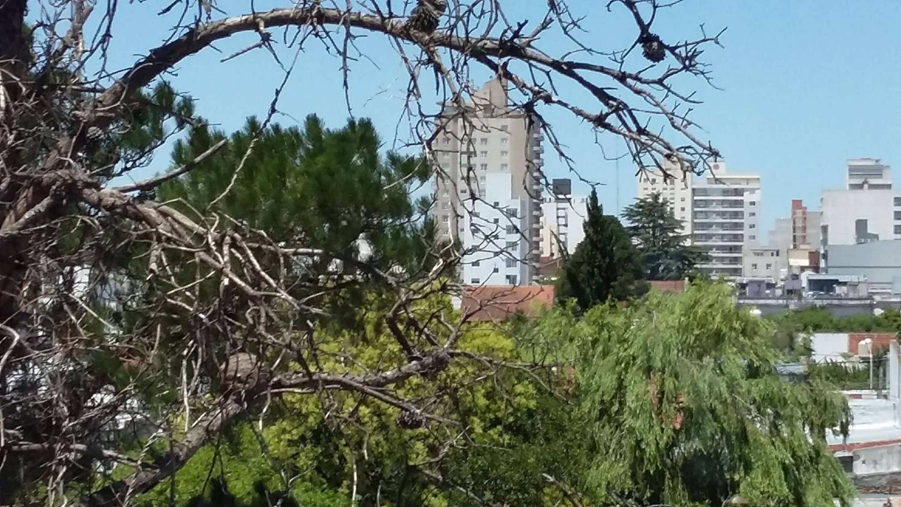 Dpto. luminoso, céntrico, nuevo: LA SERENA