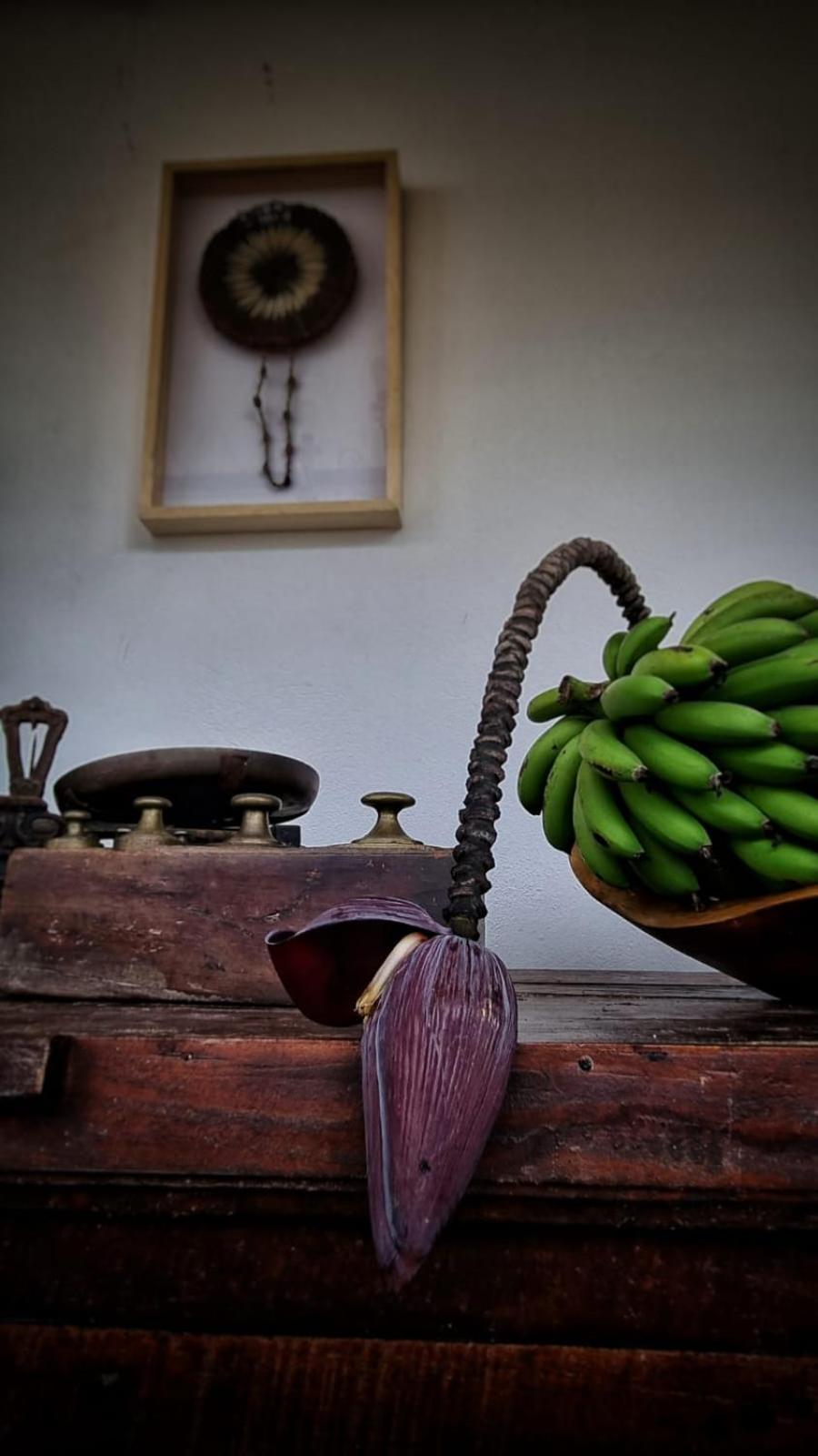 HOTEL FAZENDA PACIENCIA