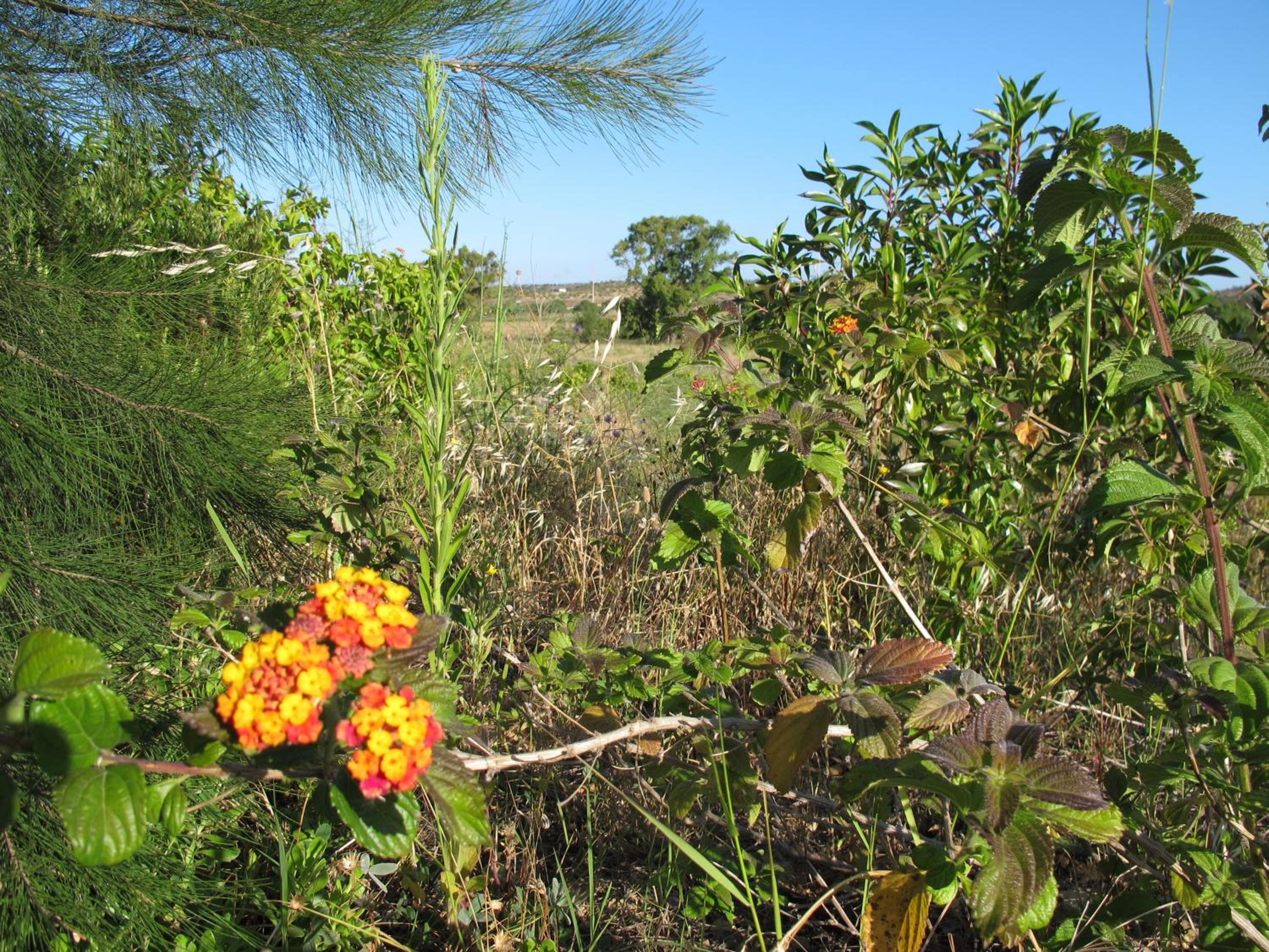 Quinta da Fornalha - Santuario Agroecologico