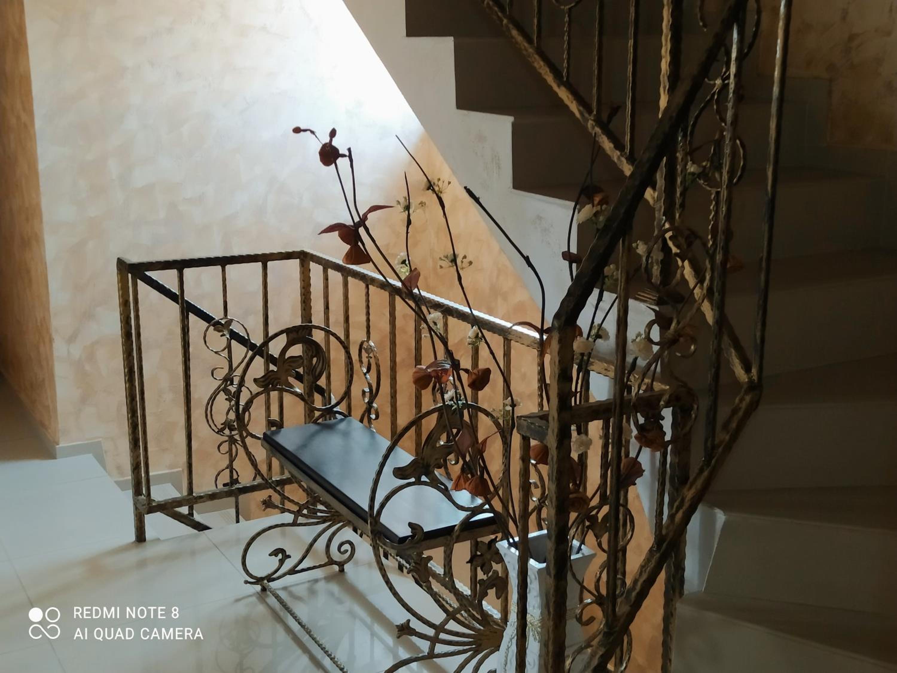 Dracena Guesthouse