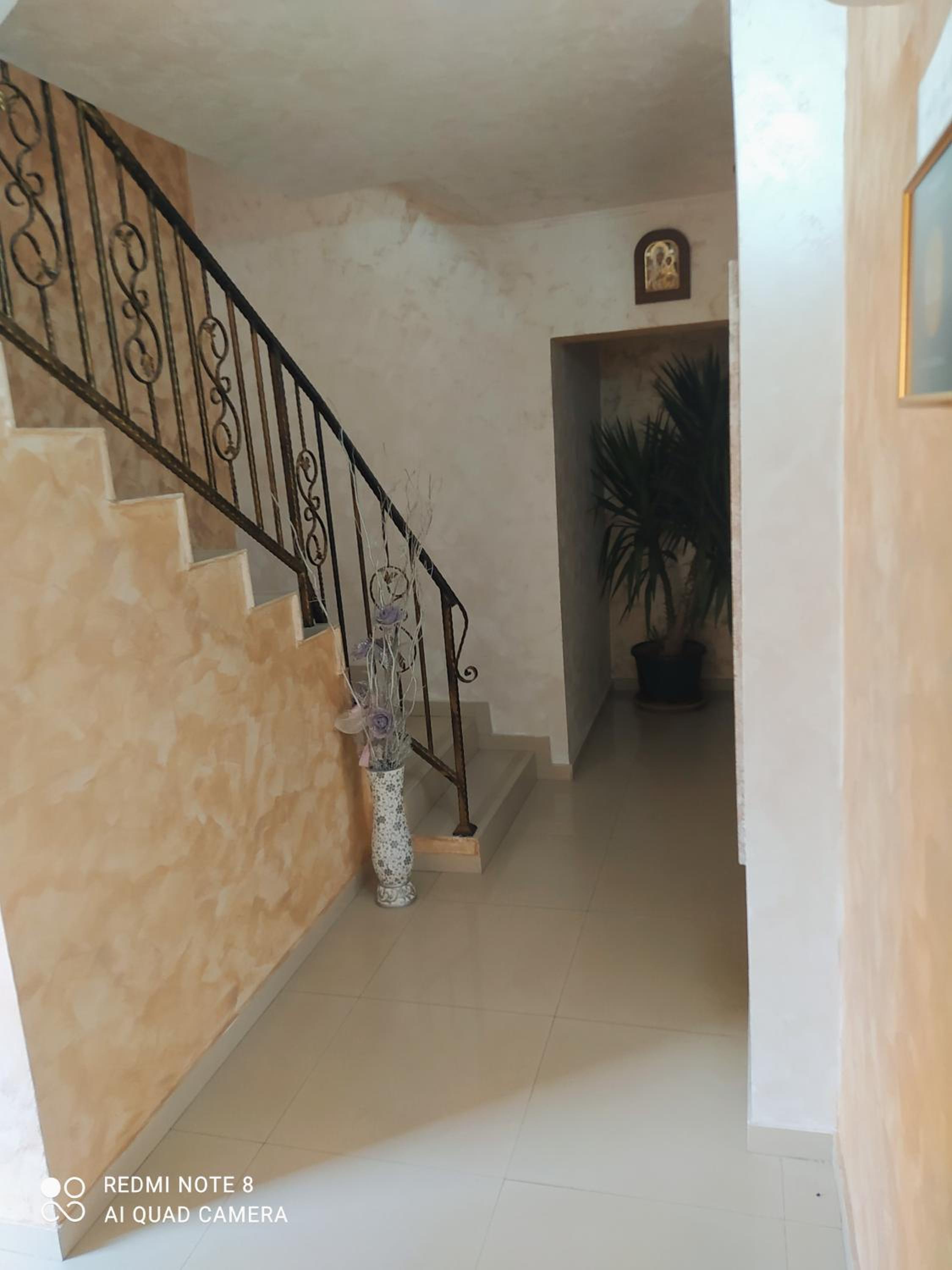 Dracena Guesthouse