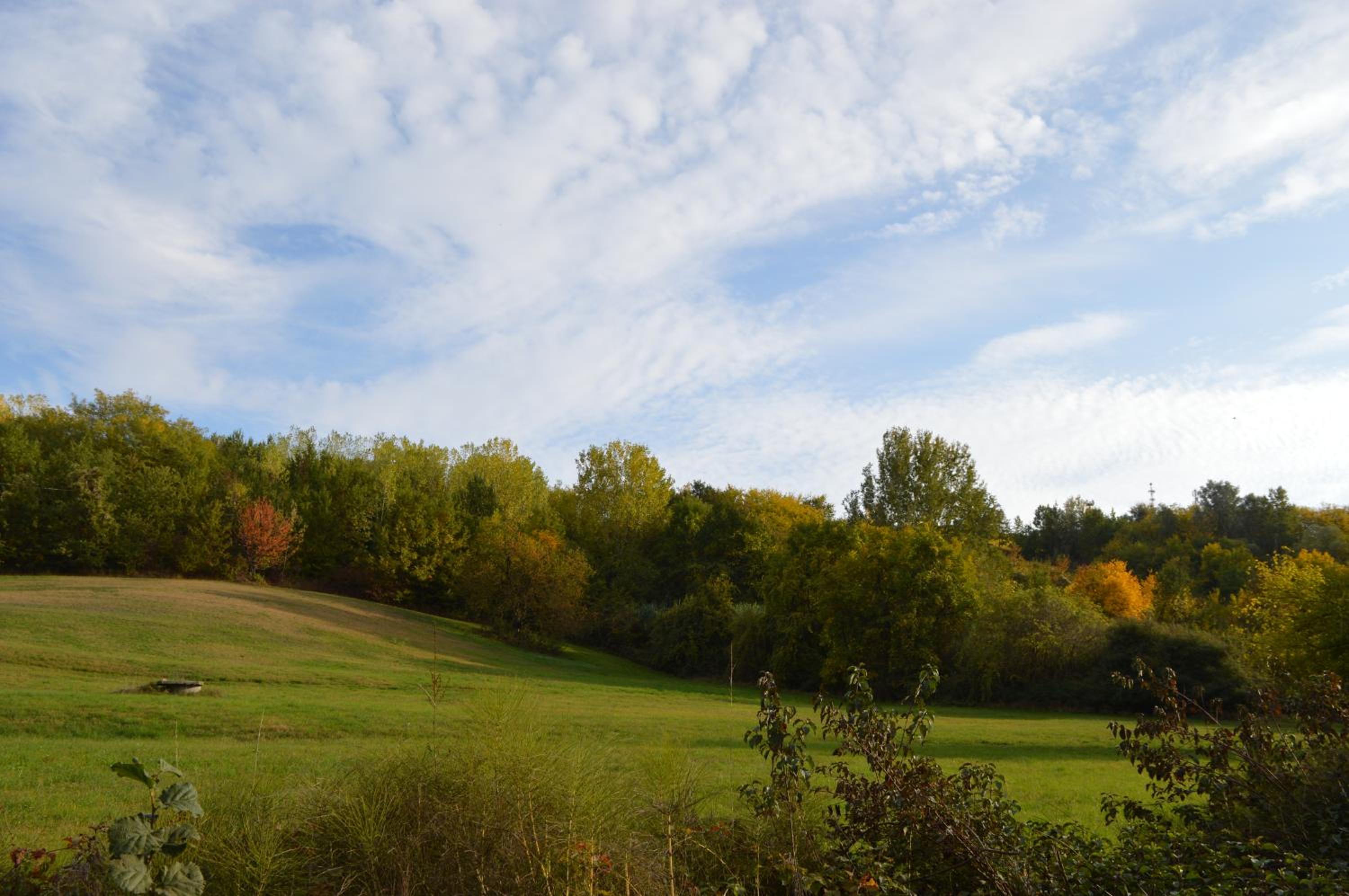 Bed & Tours Dimora di campagna