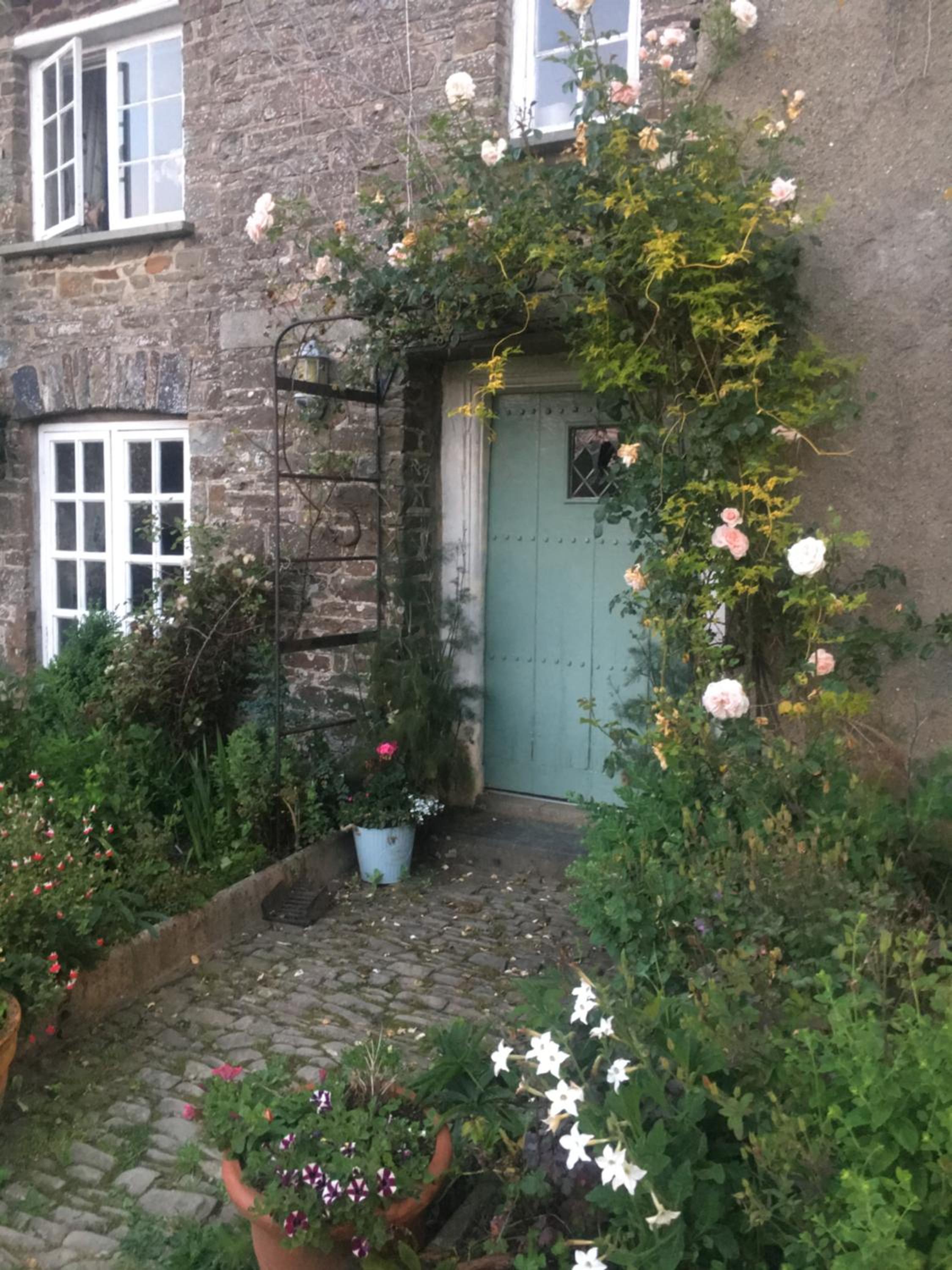 Higher Biddacott Farm