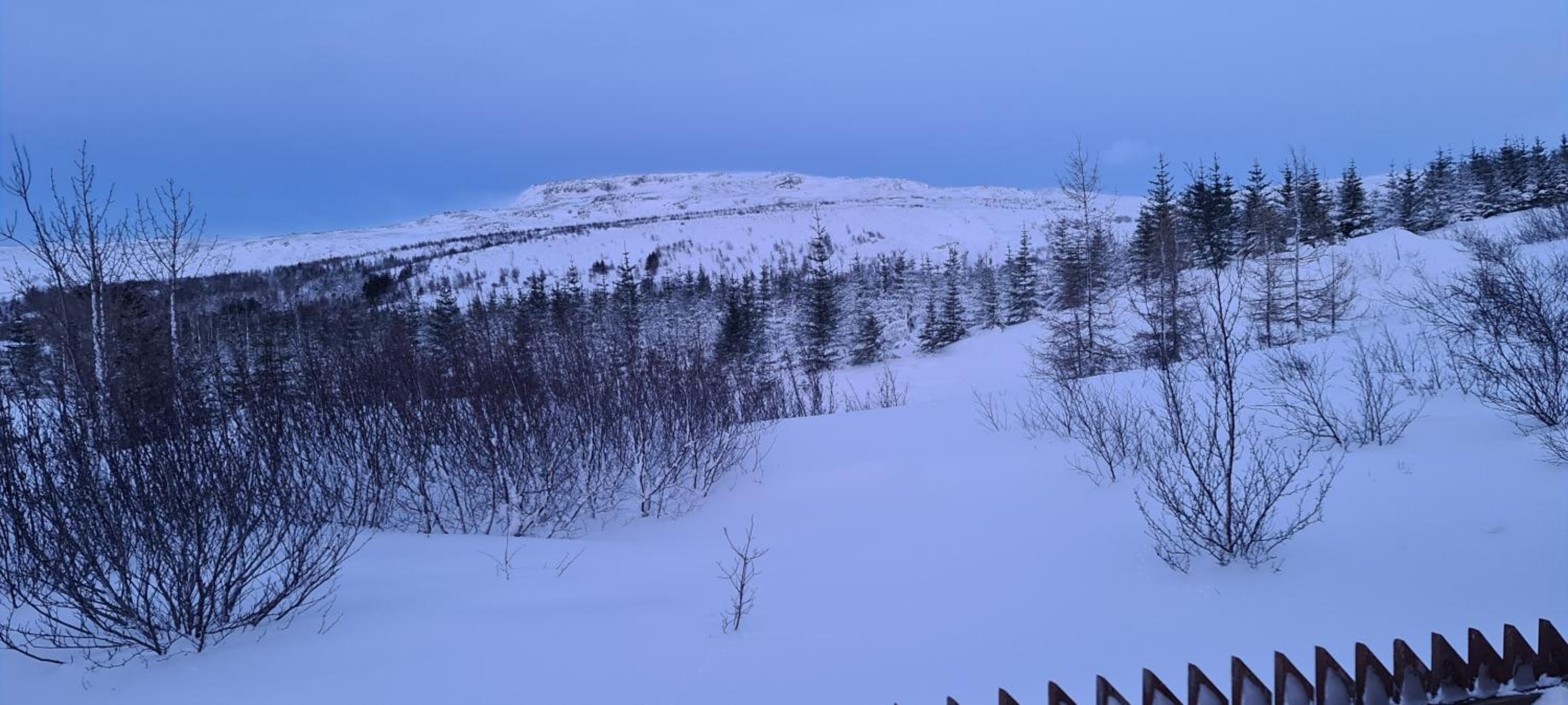 Gljúfurbústaðir Holiday Homes