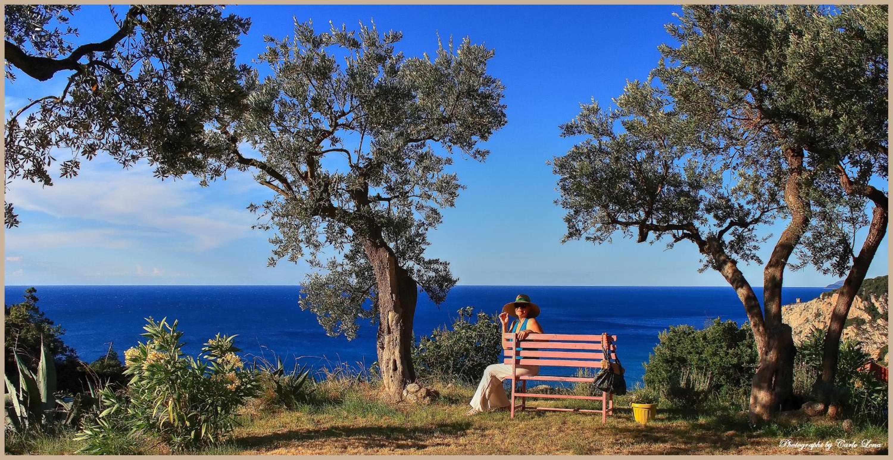 Villa Pierina view 3