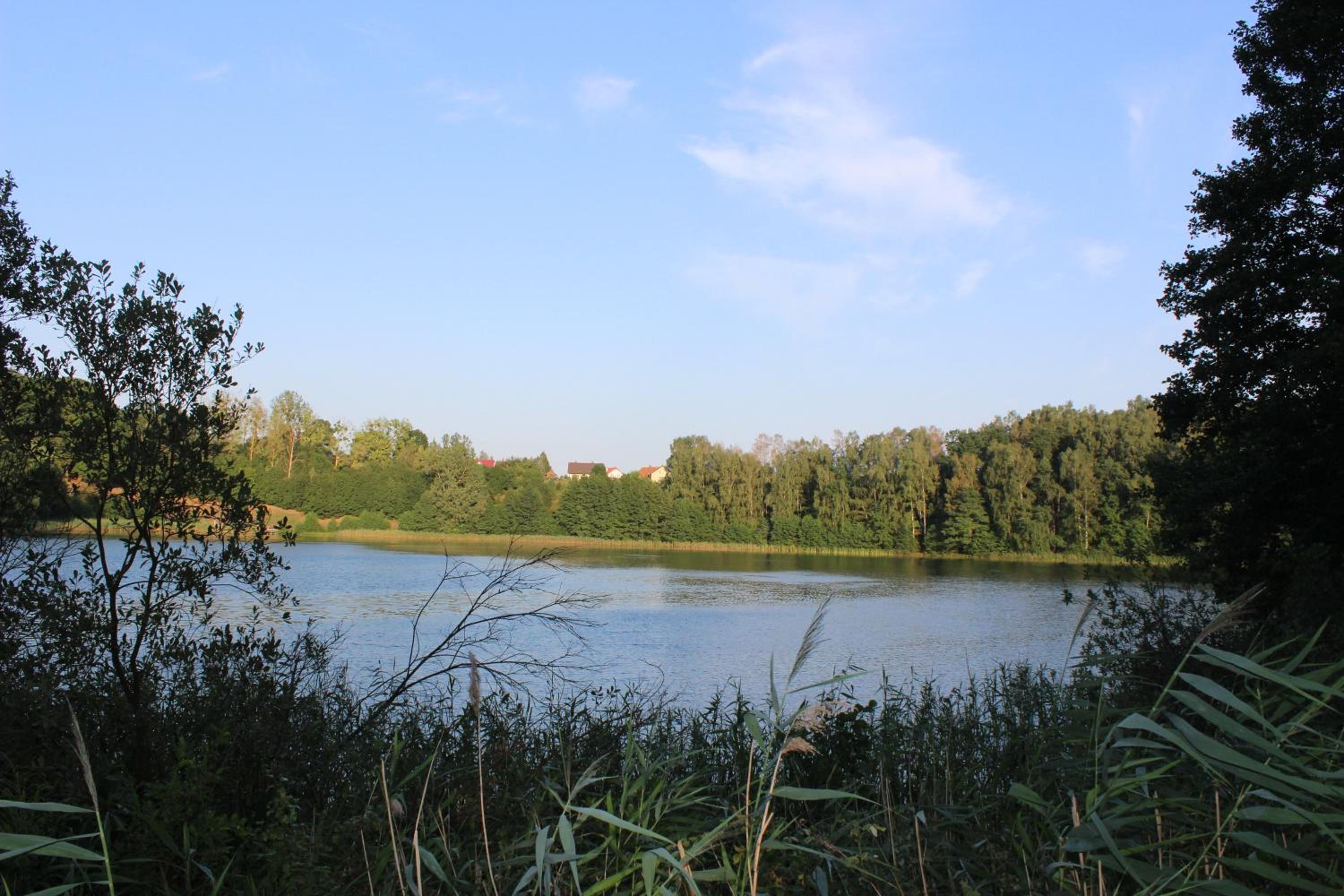 Photo 33