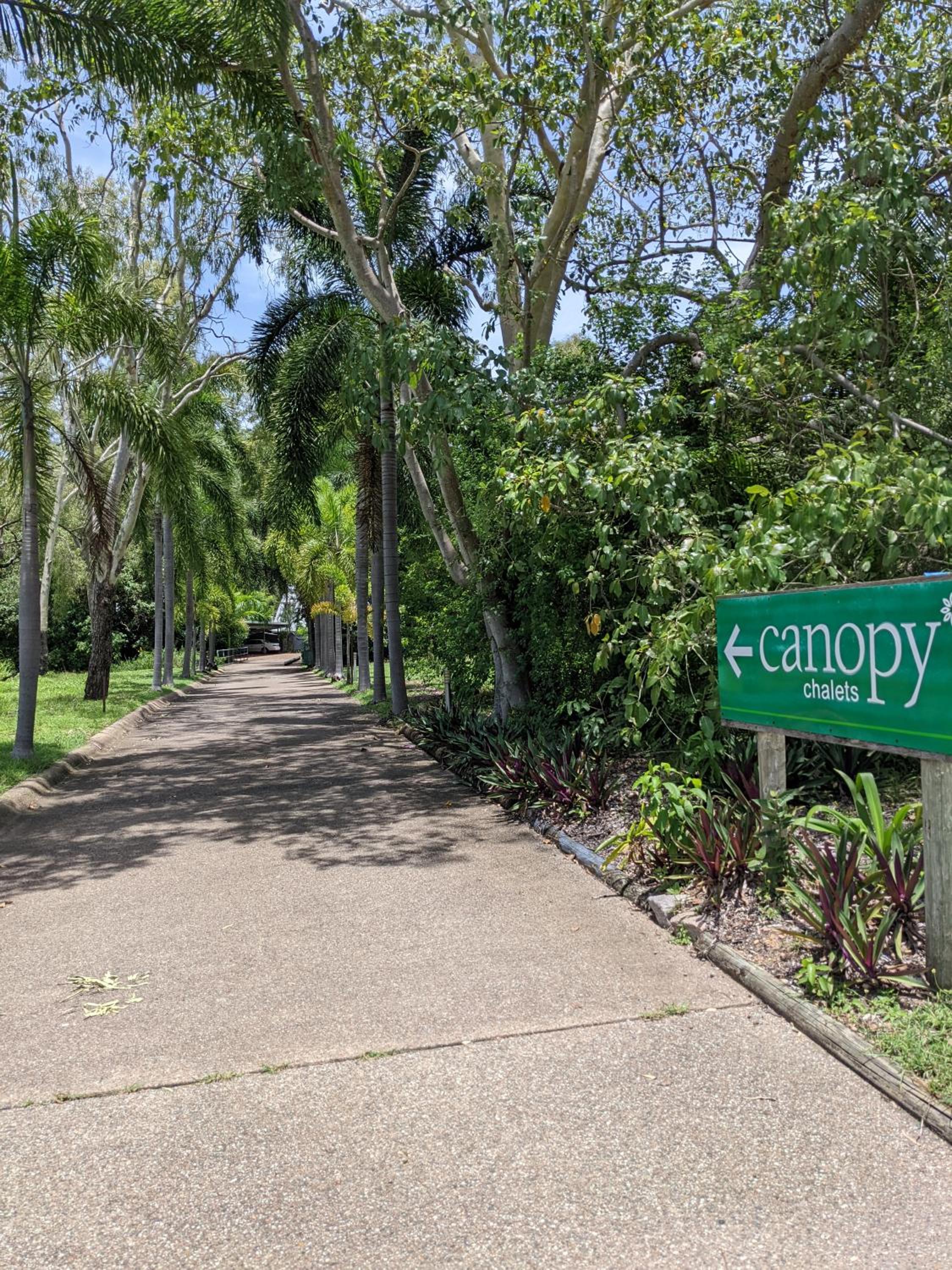 Canopy 5 Chalet